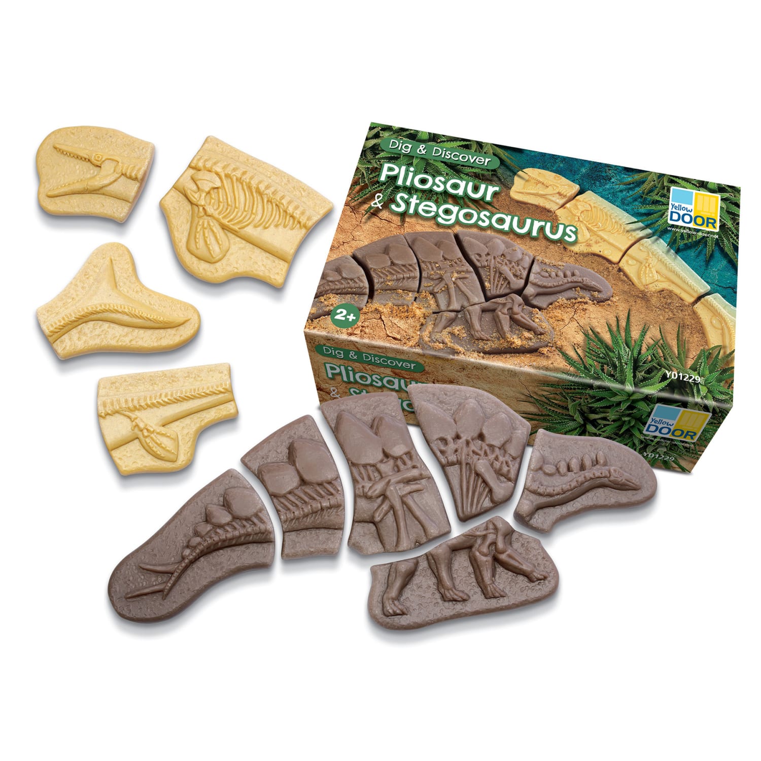 Yellow Door Dig and Discover, Pliosaur & Stegosaurus