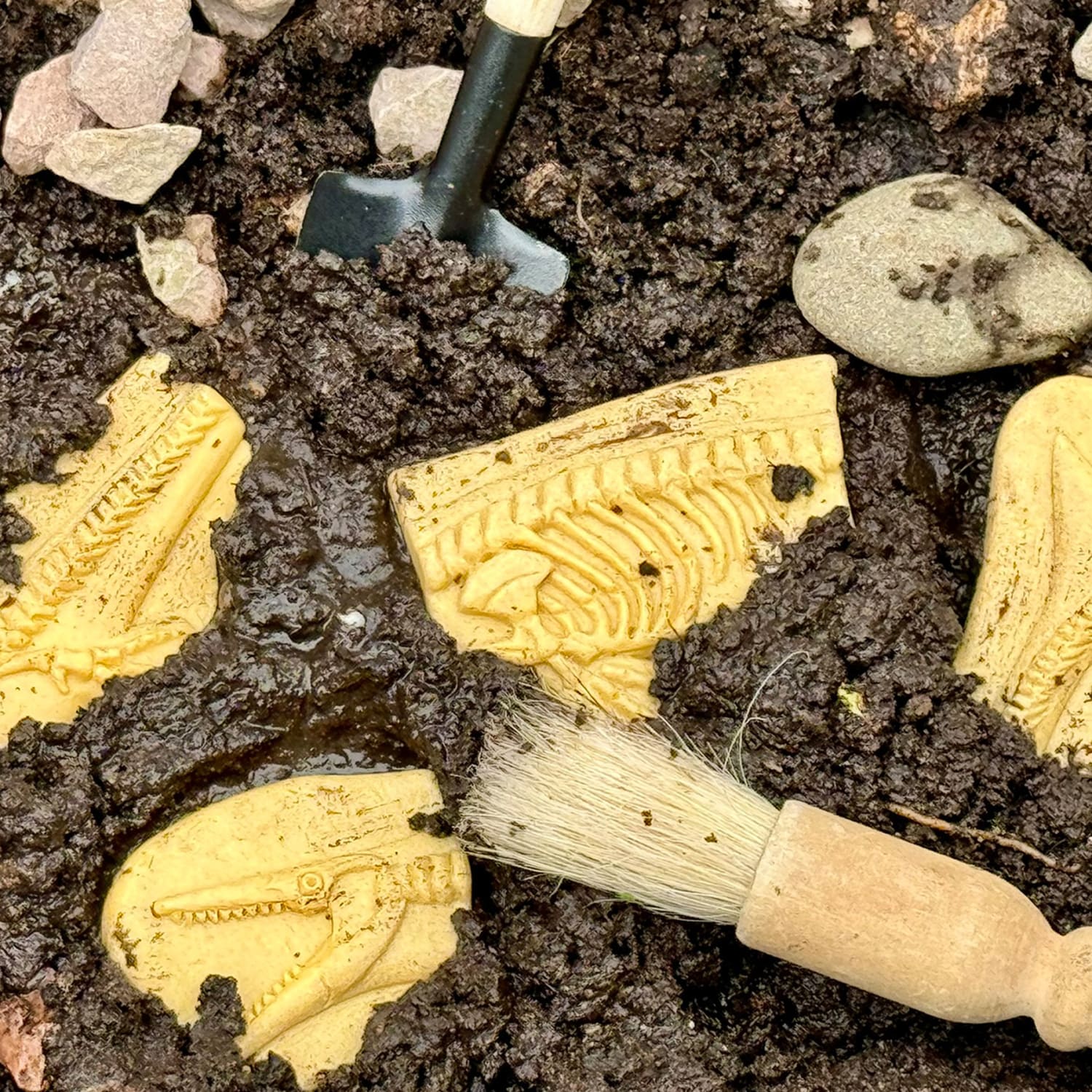 Yellow Door Dig and Discover, Pliosaur & Stegosaurus - Image 4