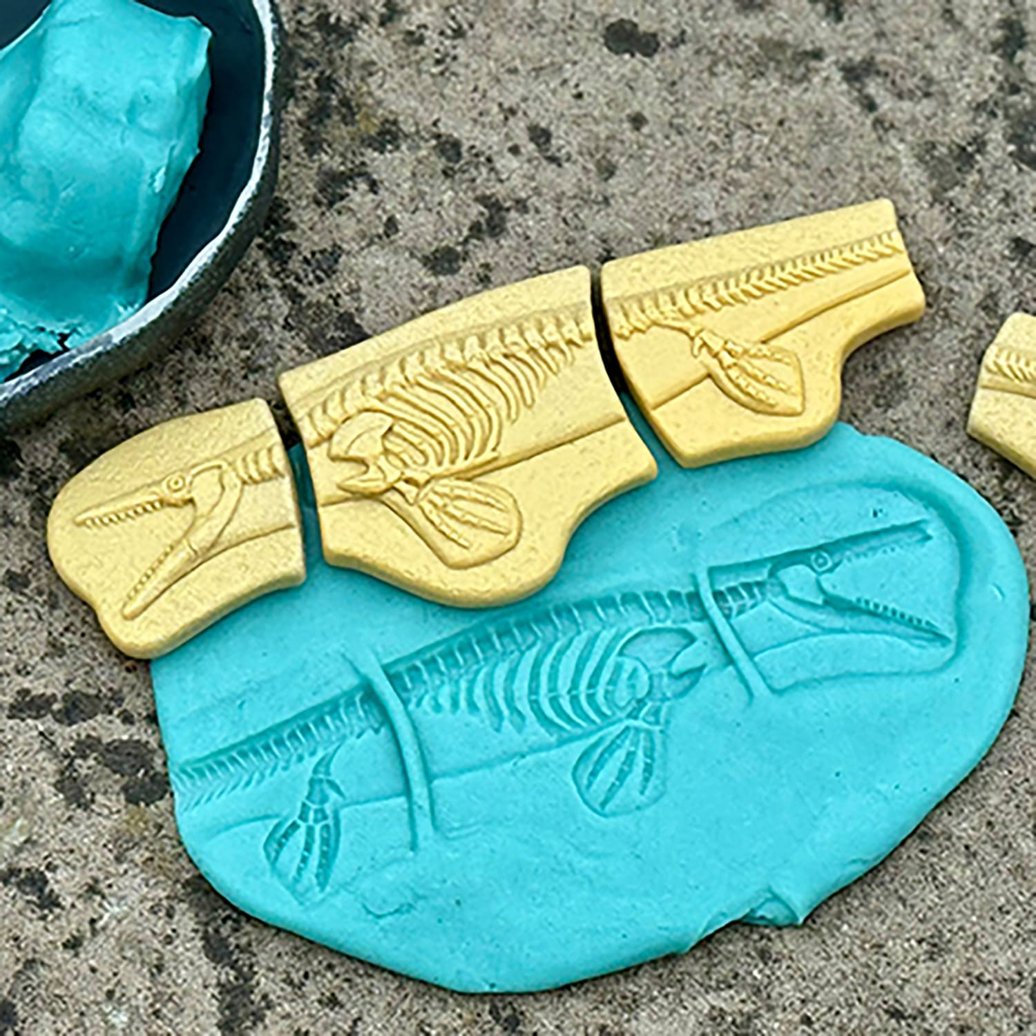 Yellow Door Dig and Discover, Pliosaur & Stegosaurus - Image 6