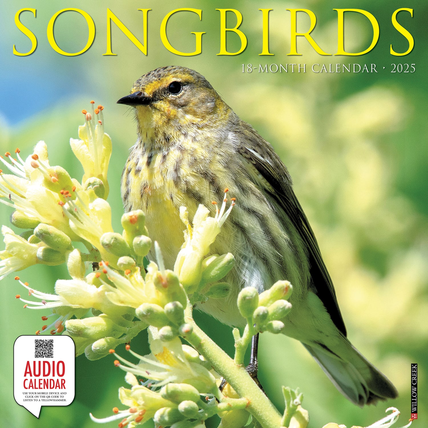 2025 Willow Creek Press Monthly Wall Calendar, 12in x 12in, Songbirds, January 2025 to December 2025, 44988