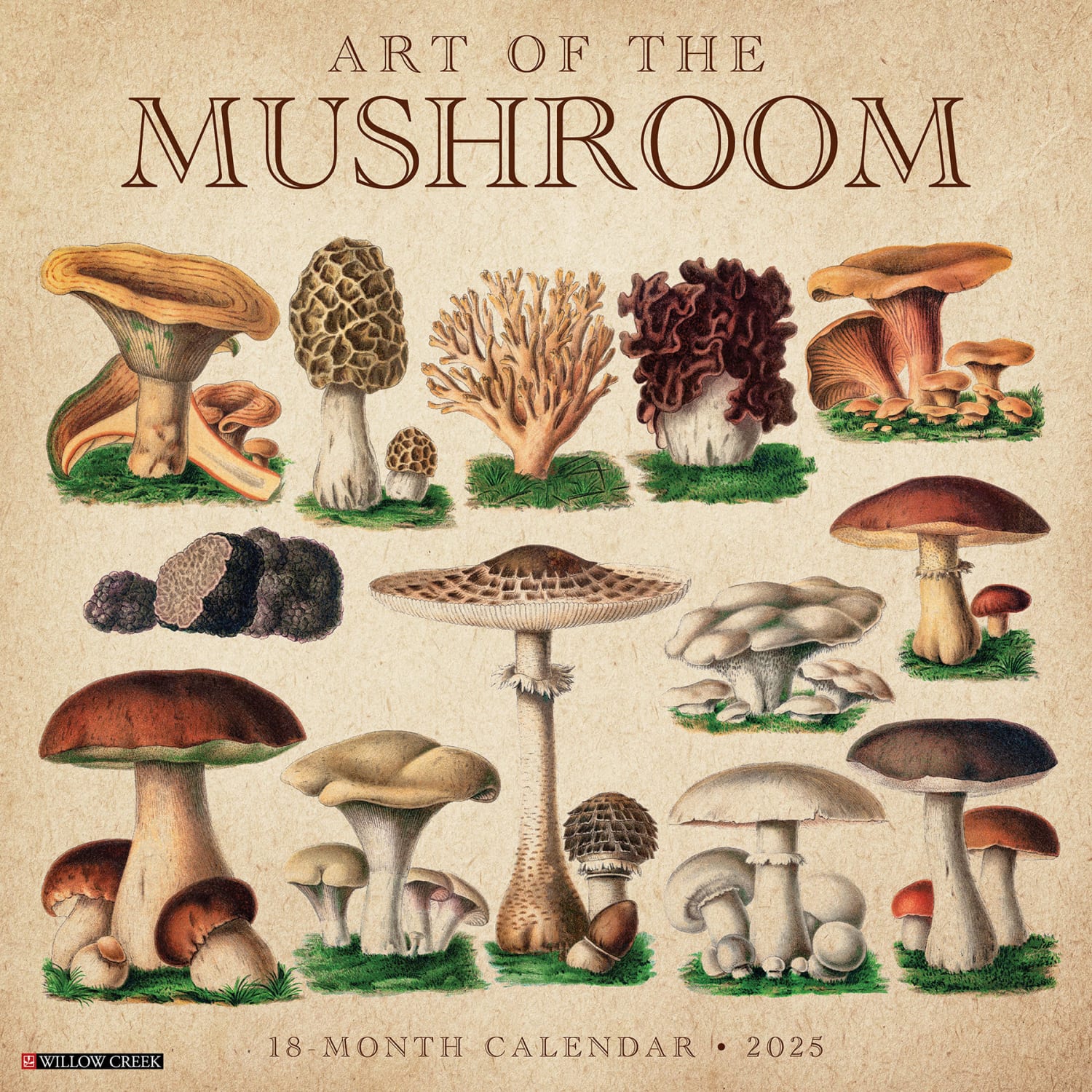 2025 Willow Creek Press Art & Design Monthly Wall Calendar, 12in x 12in, Art Of The Mushroom, January To December, 44070