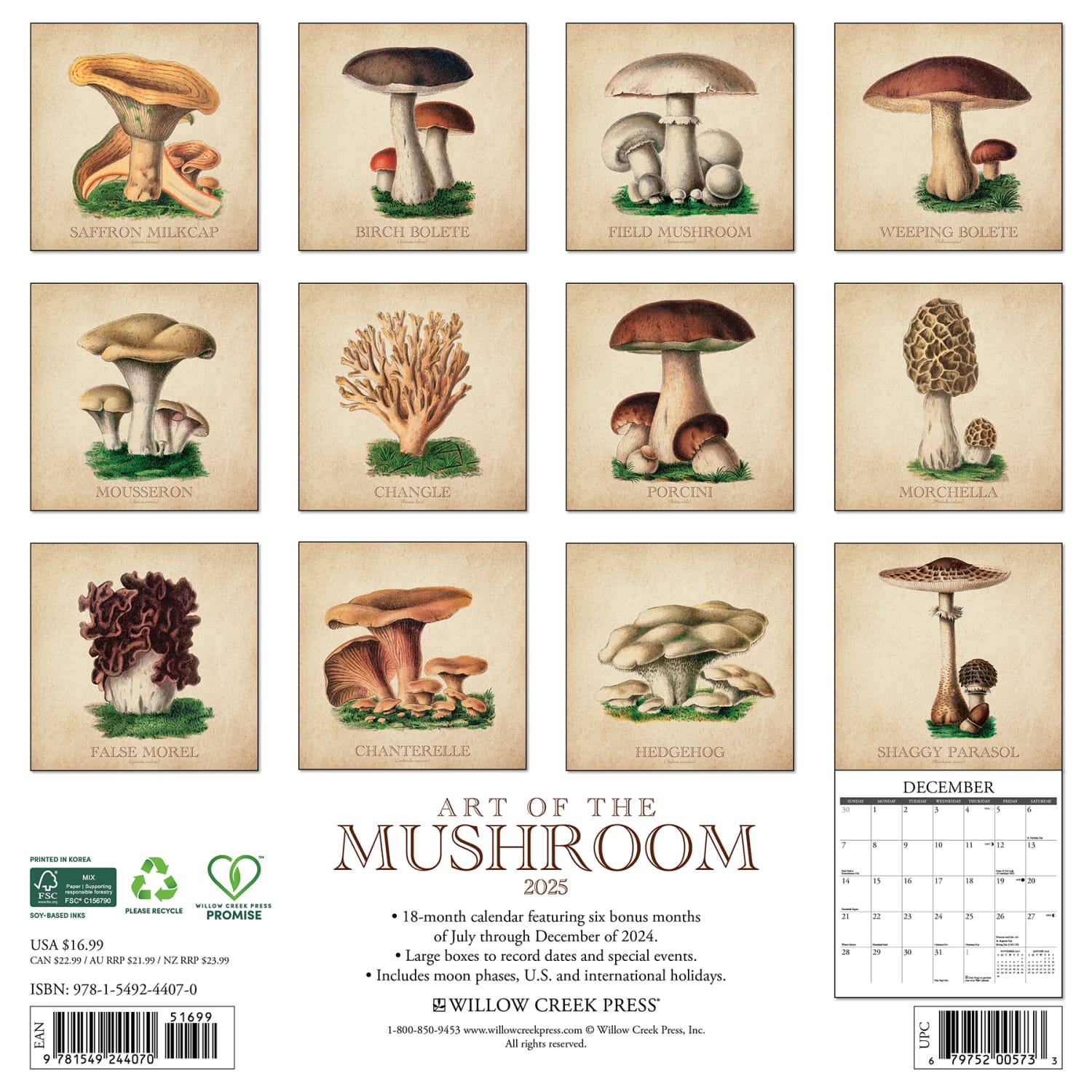 2025 Willow Creek Press Art & Design Monthly Wall Calendar, 12in x 12in, Art Of The Mushroom, January To December, 44070 - Image 6