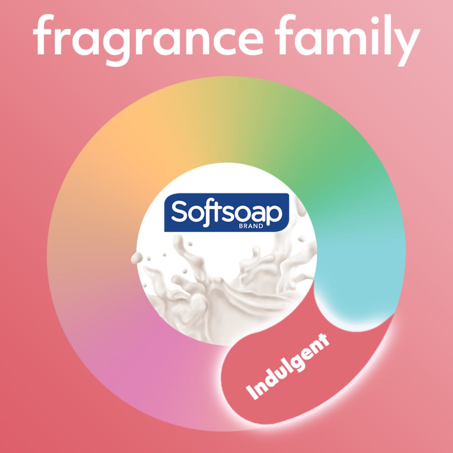 Softsoap Liquid Hand Soap Pump, Moisturizing Hand Soap Liquid, Milk & Honey Scent, 7.5 fl oz, 6/Carton - Image 3