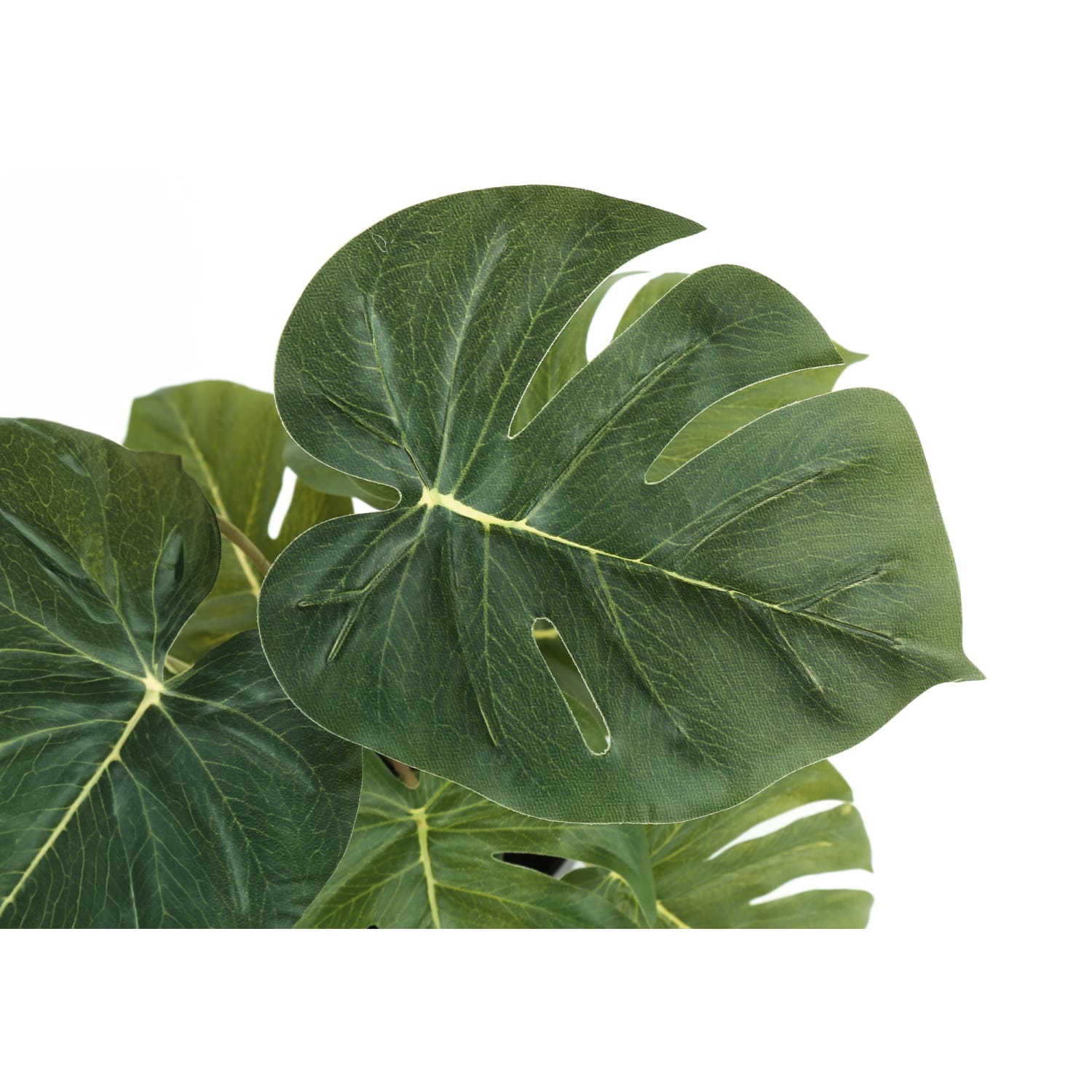 Monarch Specialties Rowan 12-1/2inH Artificial Plants With Pots, 12-1/2inH x 12inW x 12inD, Green, Set Of 2 Plants - Image 6