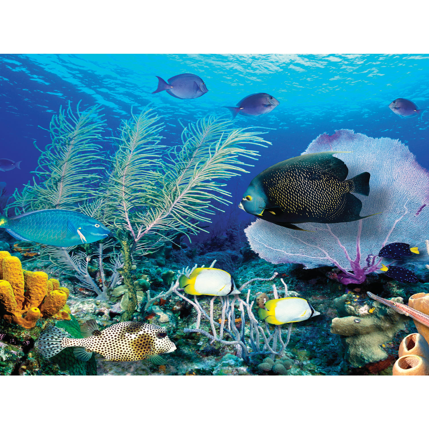 Biggies Landscape/Seascape Mural, 40in x 30in, Unframed, Ocean Reef