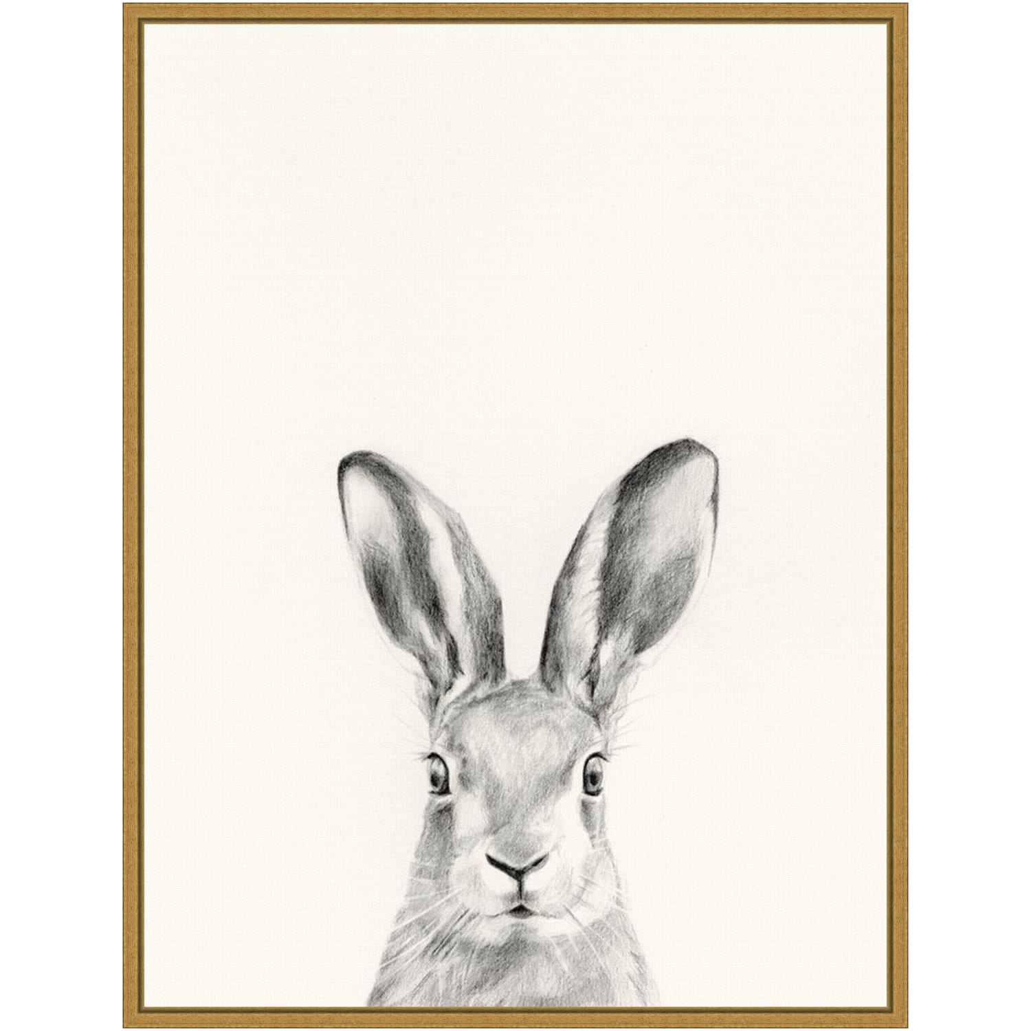 Amanti Art Animal Mug I Rabbit by Victoria Borges Framed Canvas Wall Art Print, 24inH x 18inW, Gold
