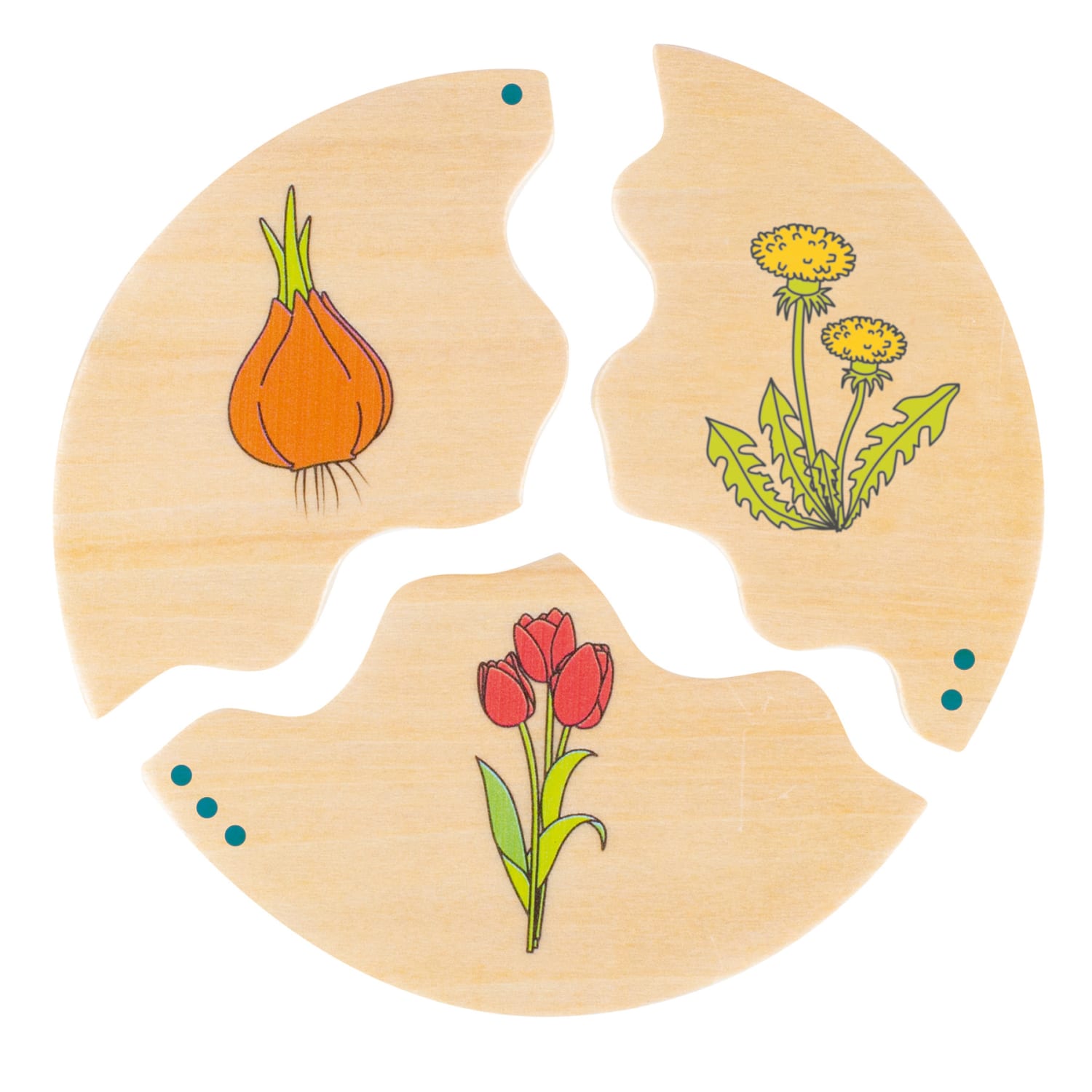 Beleduc Nawito Evolution Puzzles - Image 5