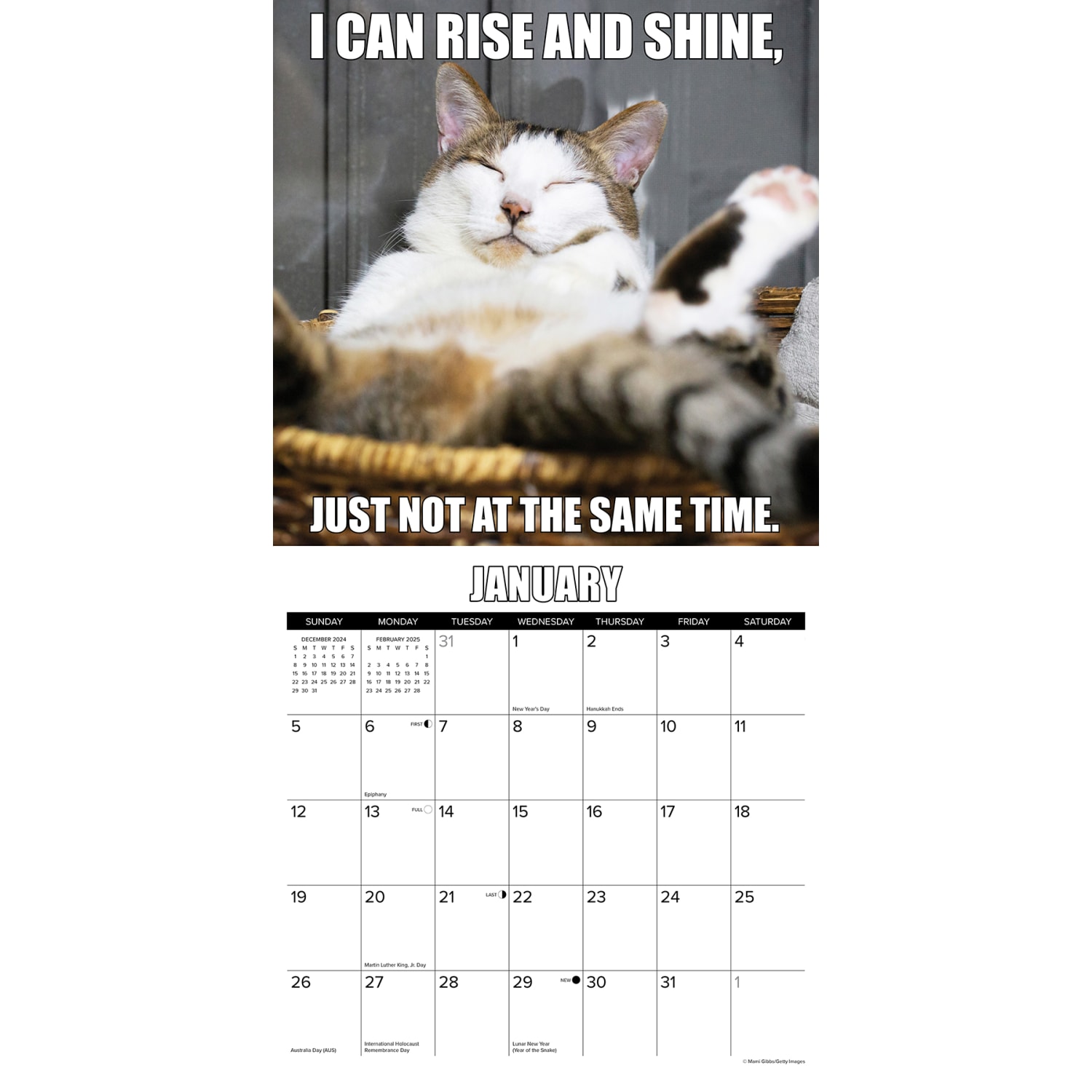 2025 Willow Creek Press Monthly Wall Calendar, 12in x 12in, Cat-astrophe, January 2025 to December 2025, 42212 - Image 3