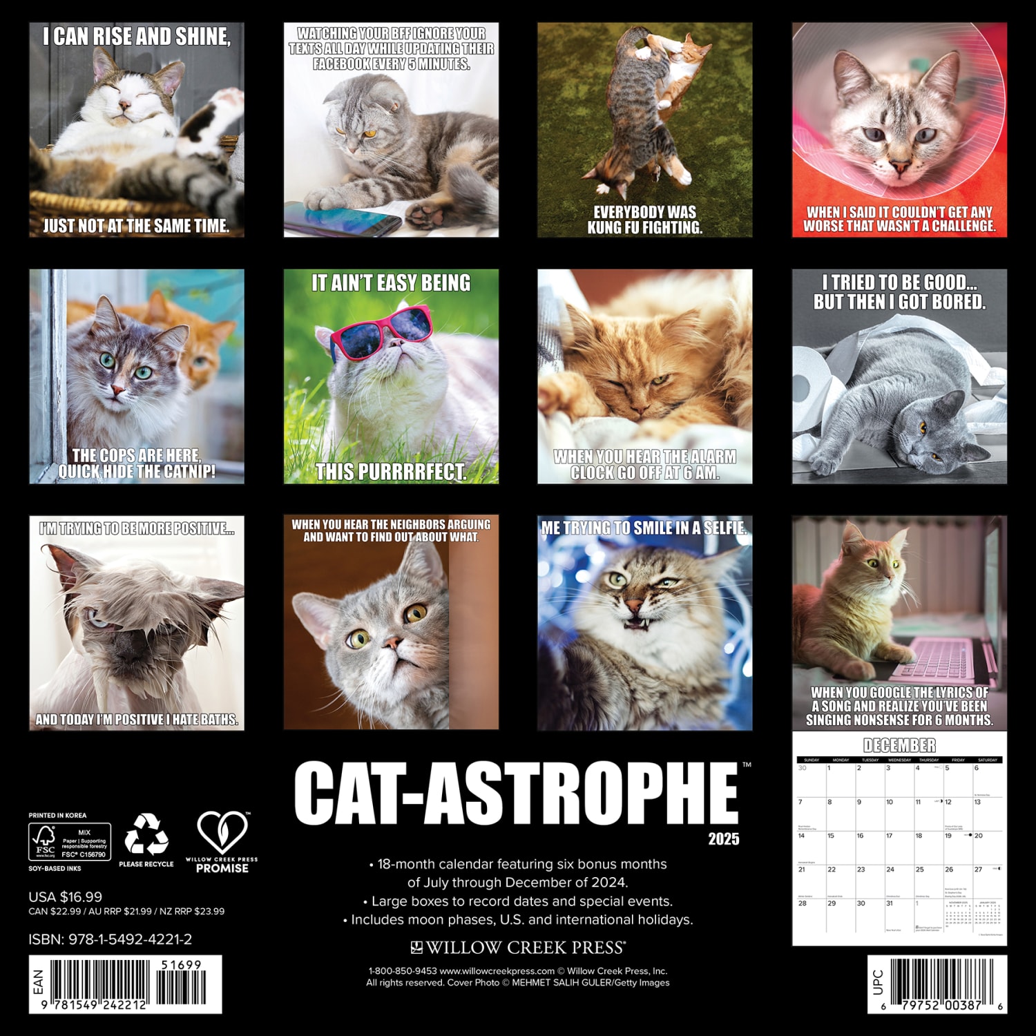 2025 Willow Creek Press Monthly Wall Calendar, 12in x 12in, Cat-astrophe, January 2025 to December 2025, 42212 - Image 6