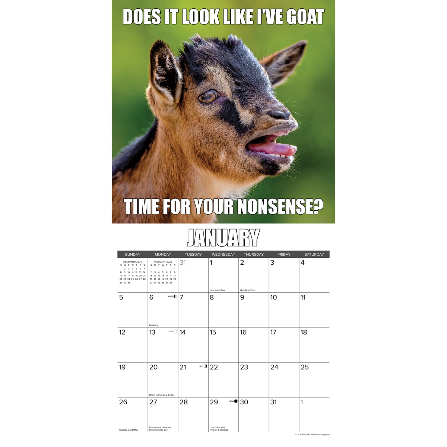 2025 Willow Creek Press Monthly Wall Calendar, 12in x 12in, You Goat This, January 2025 to December 2025, 45572 - Image 3