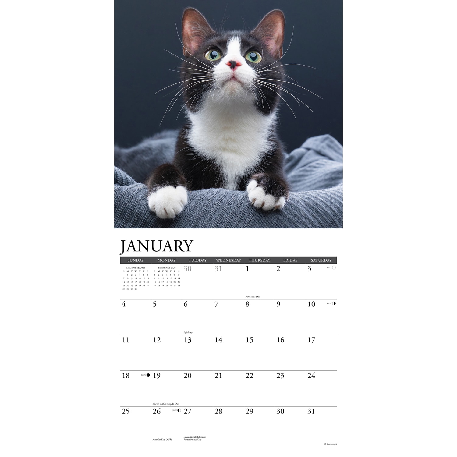 2026 Willow Creek Press Animals Monthly Wall Calendar, 12in x 12in, Tuxedo Cats, January To December, 53034 - Image 3