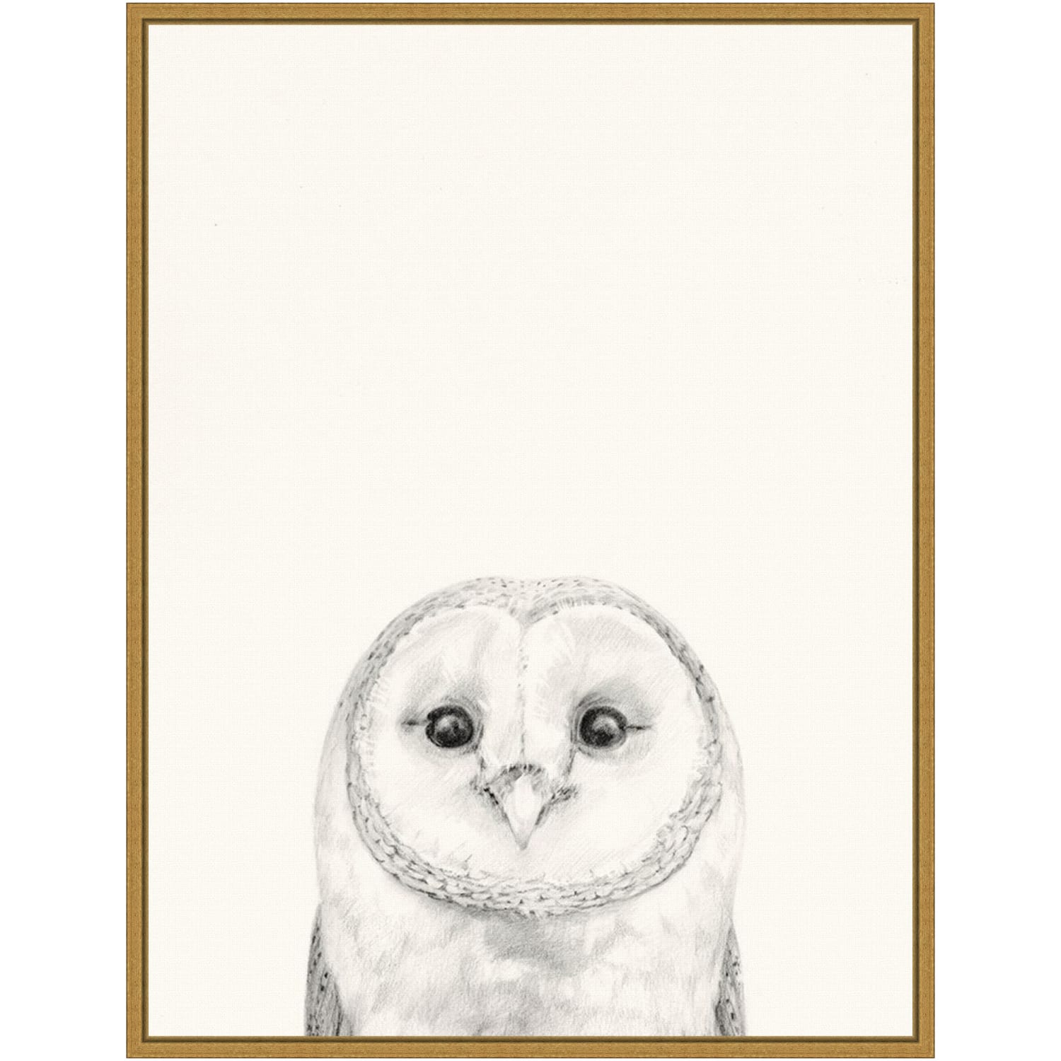 Amanti Art Animal Mug III Owl by Victoria Borges Framed Canvas Wall Art Print, 24inH x 18inW, Gold