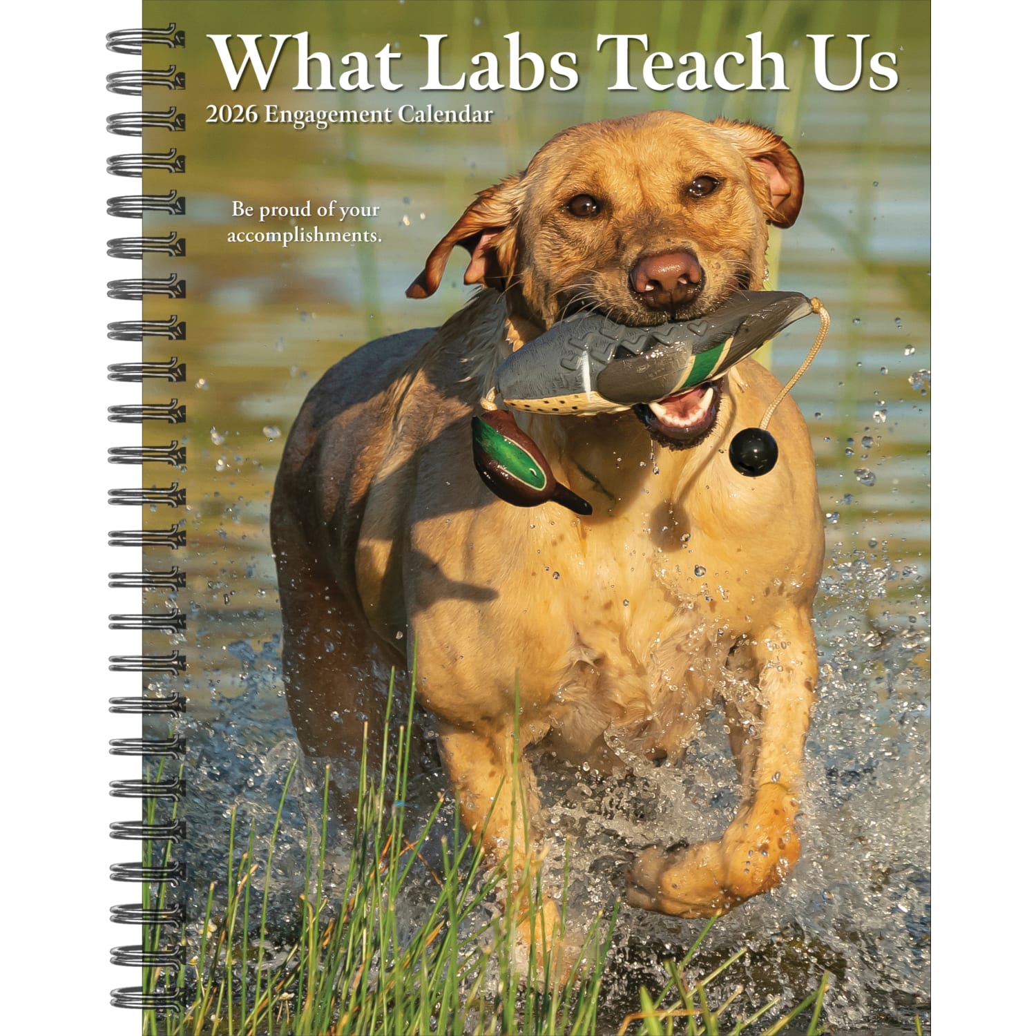 2026 Willow Creek Press Weekly Engagement Calendar, 6-1/2in x 8-1/2in, What Labs Teach Us, January To December, 55267