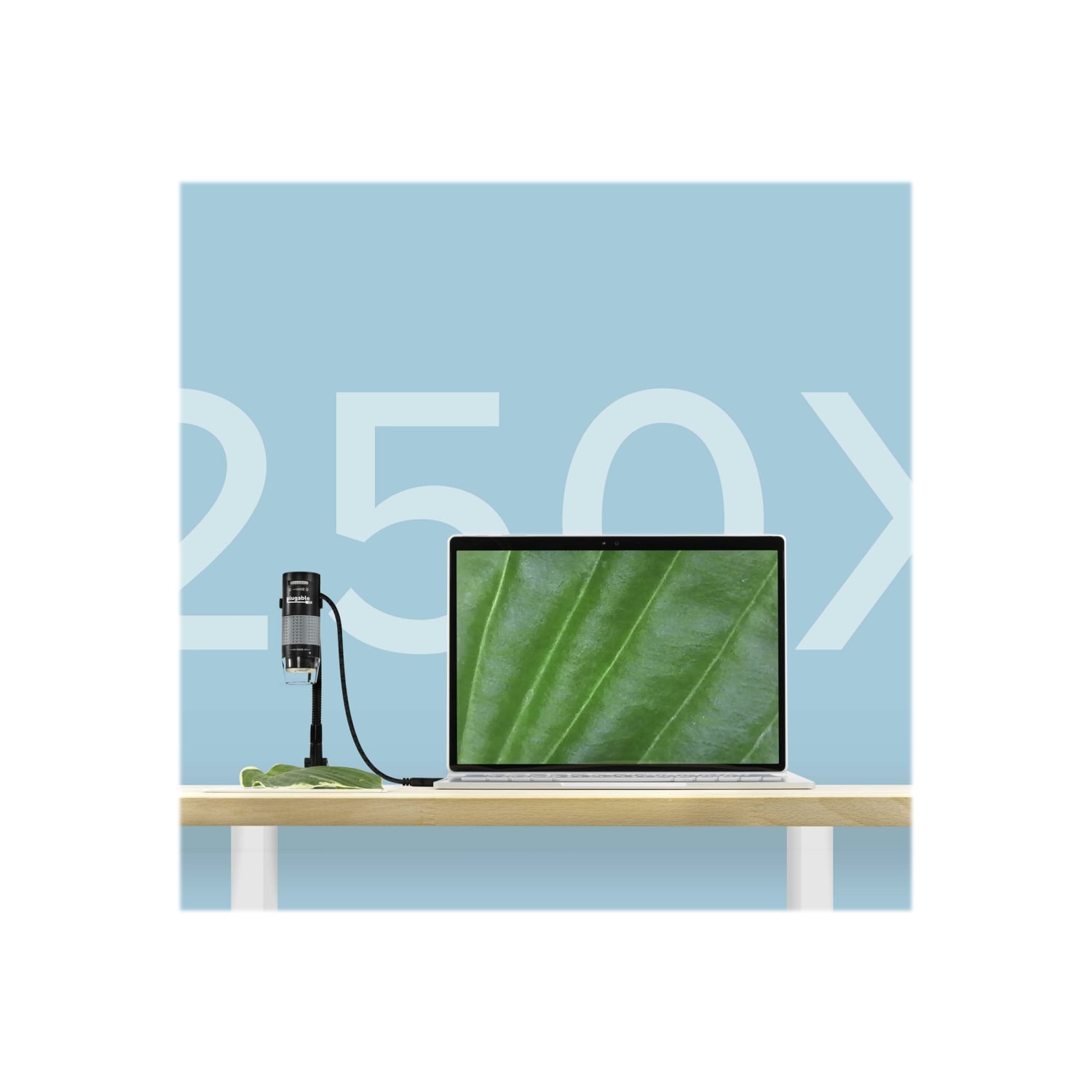 Plugable USB2-MICRO-250X - Microscope - color - 2 MP - 1600 x 1200 - USB 2.0 - Image 4