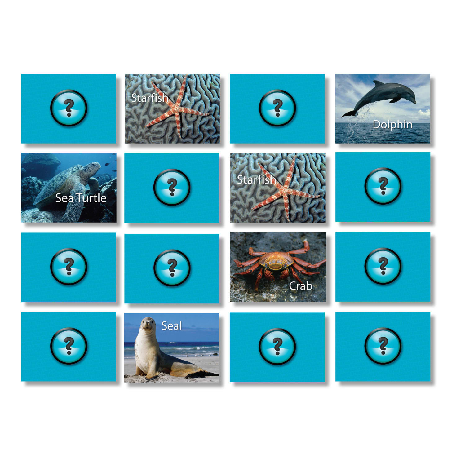 Stages Learning Materials Photographic Memory Matching Games, Sea Life, Pack Of 3 Games - Image 4