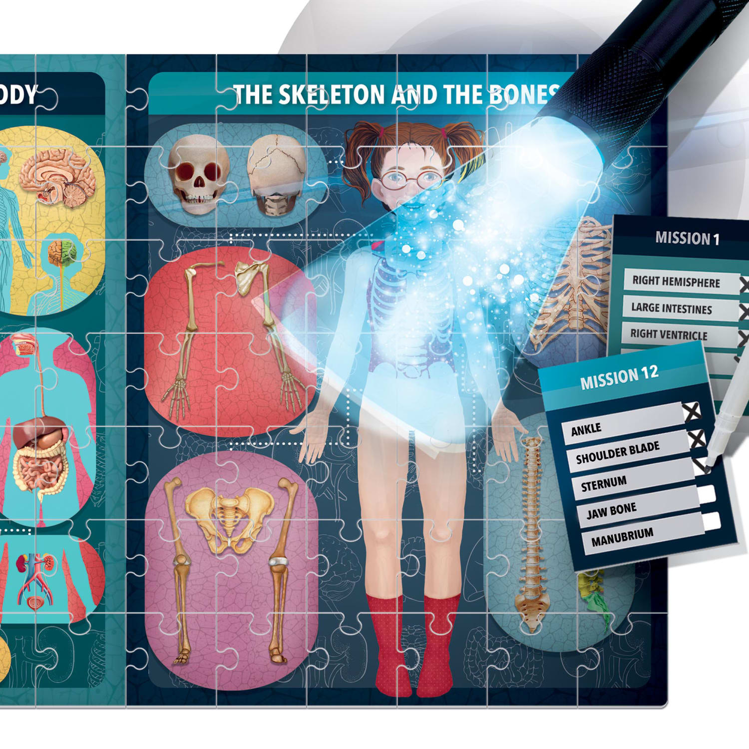 Headu The Human Body Under X-Ray - Image 5