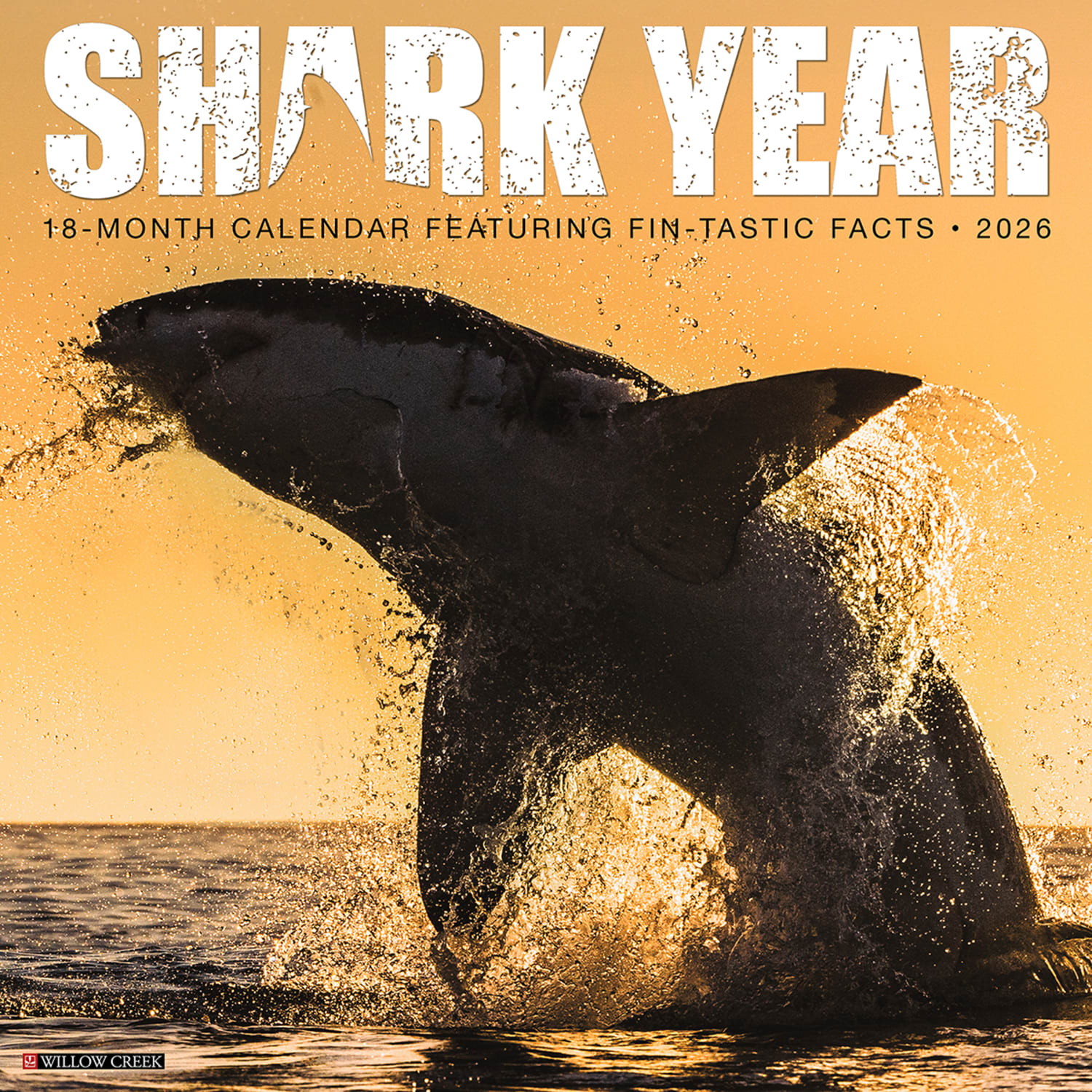 2026 Willow Creek Press Animals Monthly Wall Calendar, 12in x 12in, Shark Year, January To December, 52747
