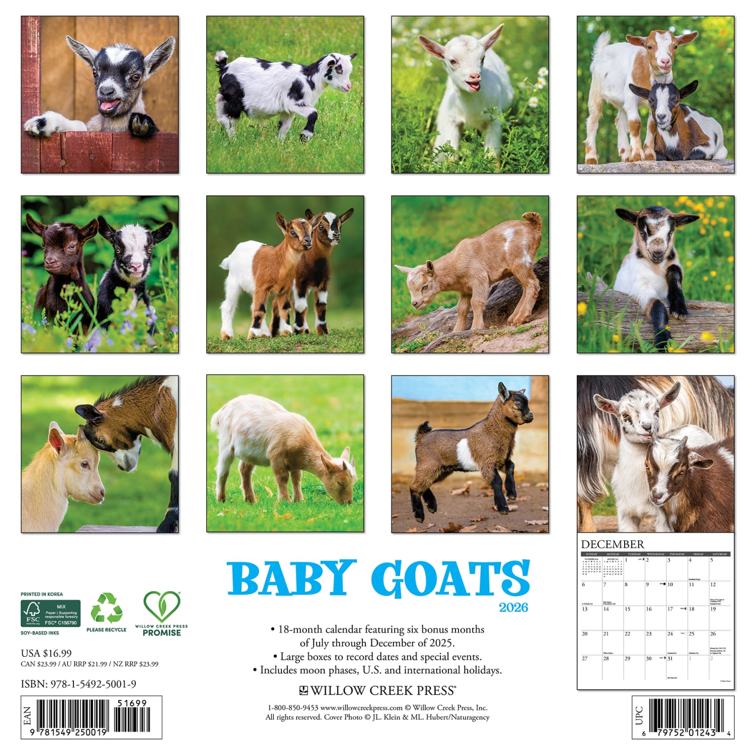 2026 Willow Creek Press Animals Monthly Wall Calendar, 12in x 12in, Baby Goats, January To December, 50019 - Image 6