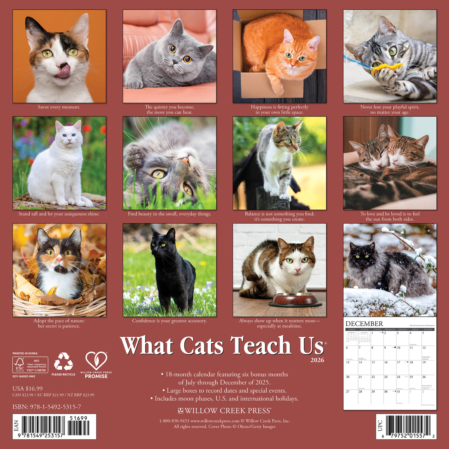 2026 Willow Creek Press Animals Monthly Wall Calendar, 12in x 12in, What Cats Teach Us, January To December, 53157 - Image 6