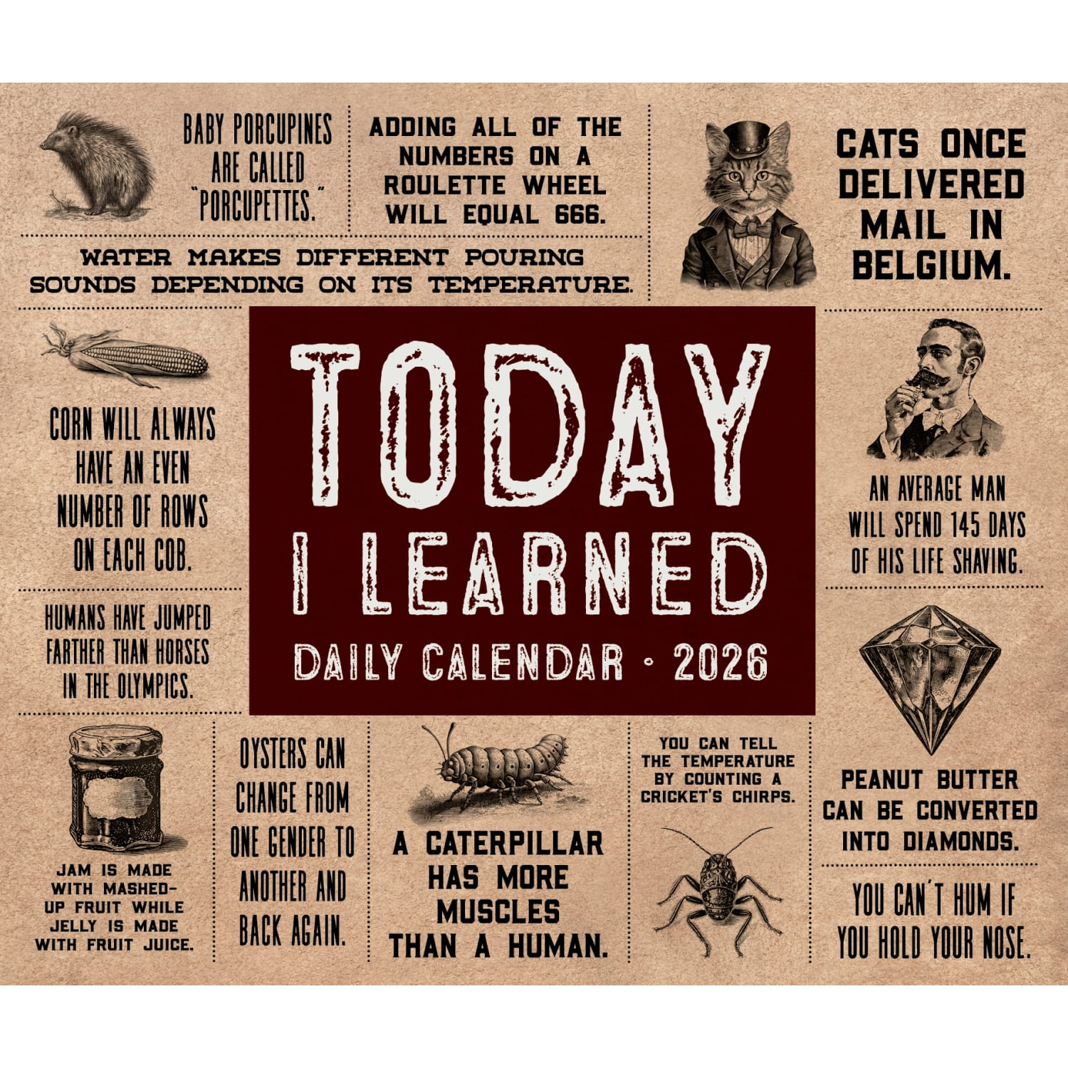 2026 Willow Creek Press Page-A-Day Daily Desk Calendar, 6-1/4in x 5-1/2in, Today I Learned (TIL), January To December, 54451 - Image 5