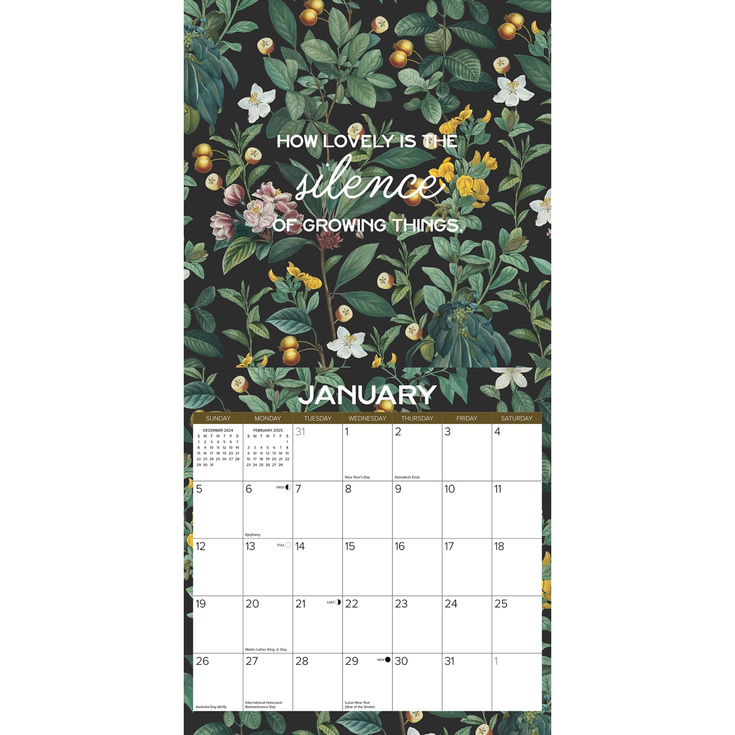 2025 Willow Creek Press Monthly Wall Calendar, 12in x 12in, Botanical Year, January To December 2025 - Image 3