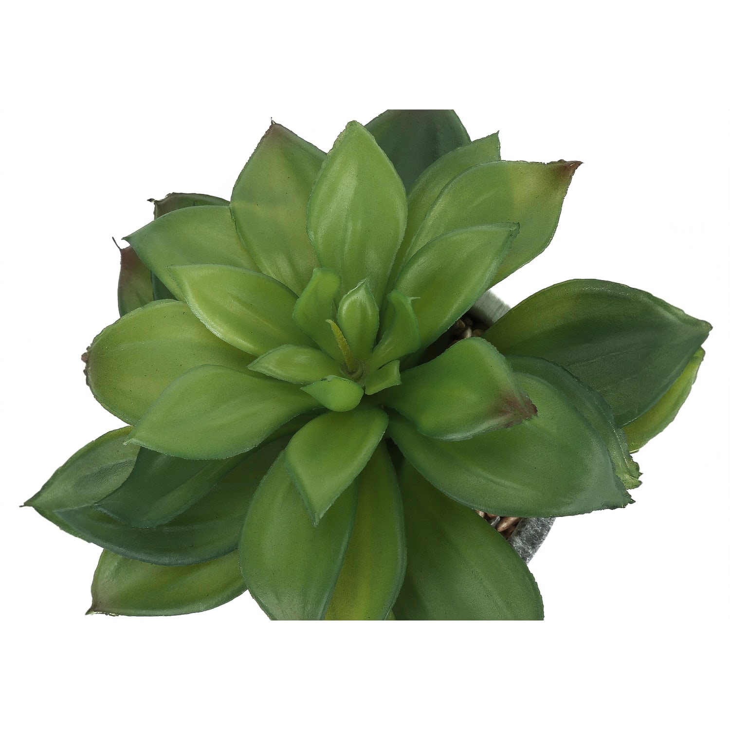 Monarch Specialties Tianna 14inH Artificial Plants With Pots, 7inH x 5inW x 5inD, Green, Set Of 2 Plants - Image 6