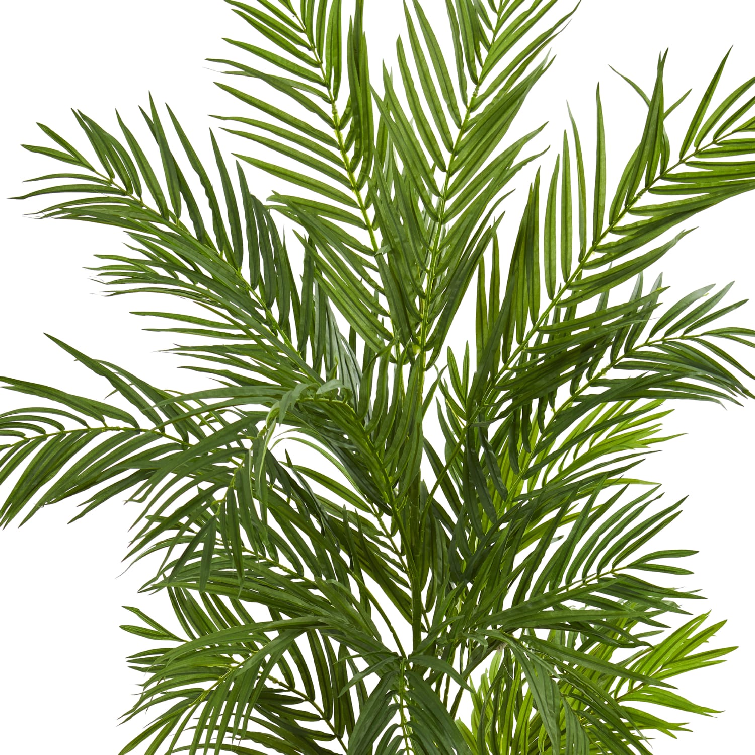 Nearly Natural Areca Palm 60inH Artificial Tree With Planter, 60inH x 31inW x 25inD, Green, 5642 - Image 3