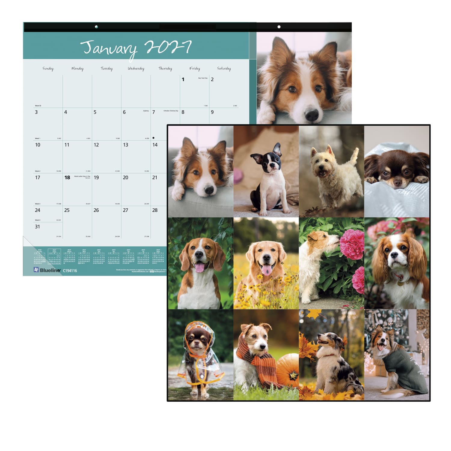 2027 Blueline Colorful Monthly Desk Pad Calendar, 22in x 17in, Best Friends, January To December, C194116, Total Qty 1
