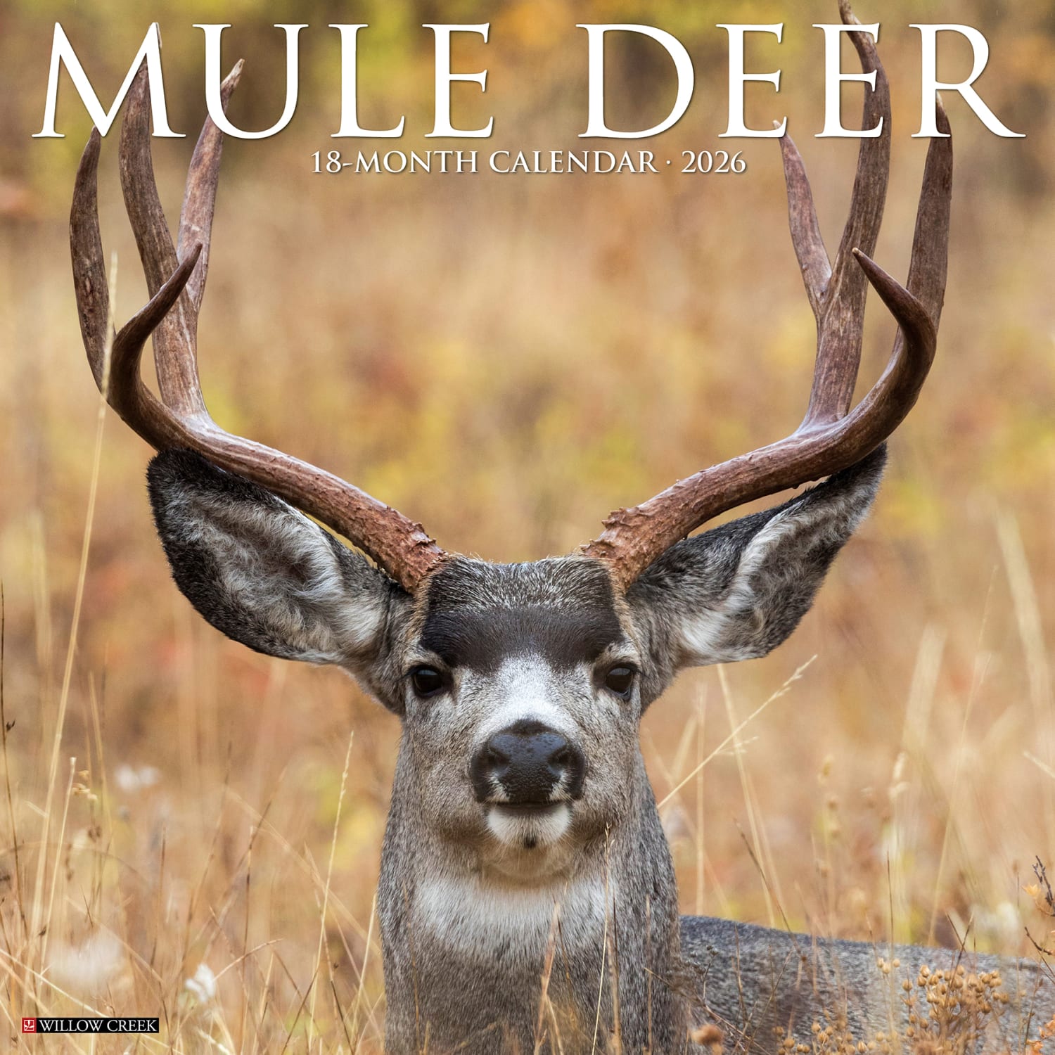 2026 Willow Creek Press Animals Monthly Wall Calendar, 12in x 12in, Mule Deer, January To December, 52051
