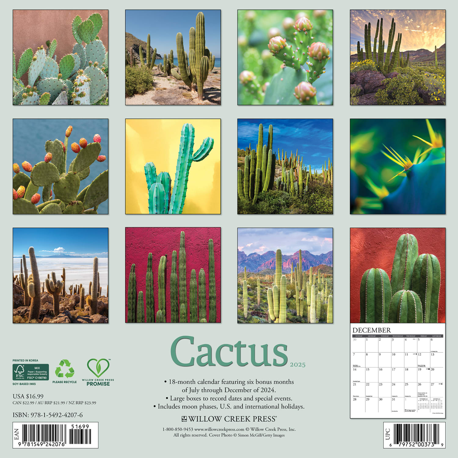 2025 Willow Creek Press Monthly Wall Calendar, 12in x 12in, Cactus, January To December 2025 - Image 6