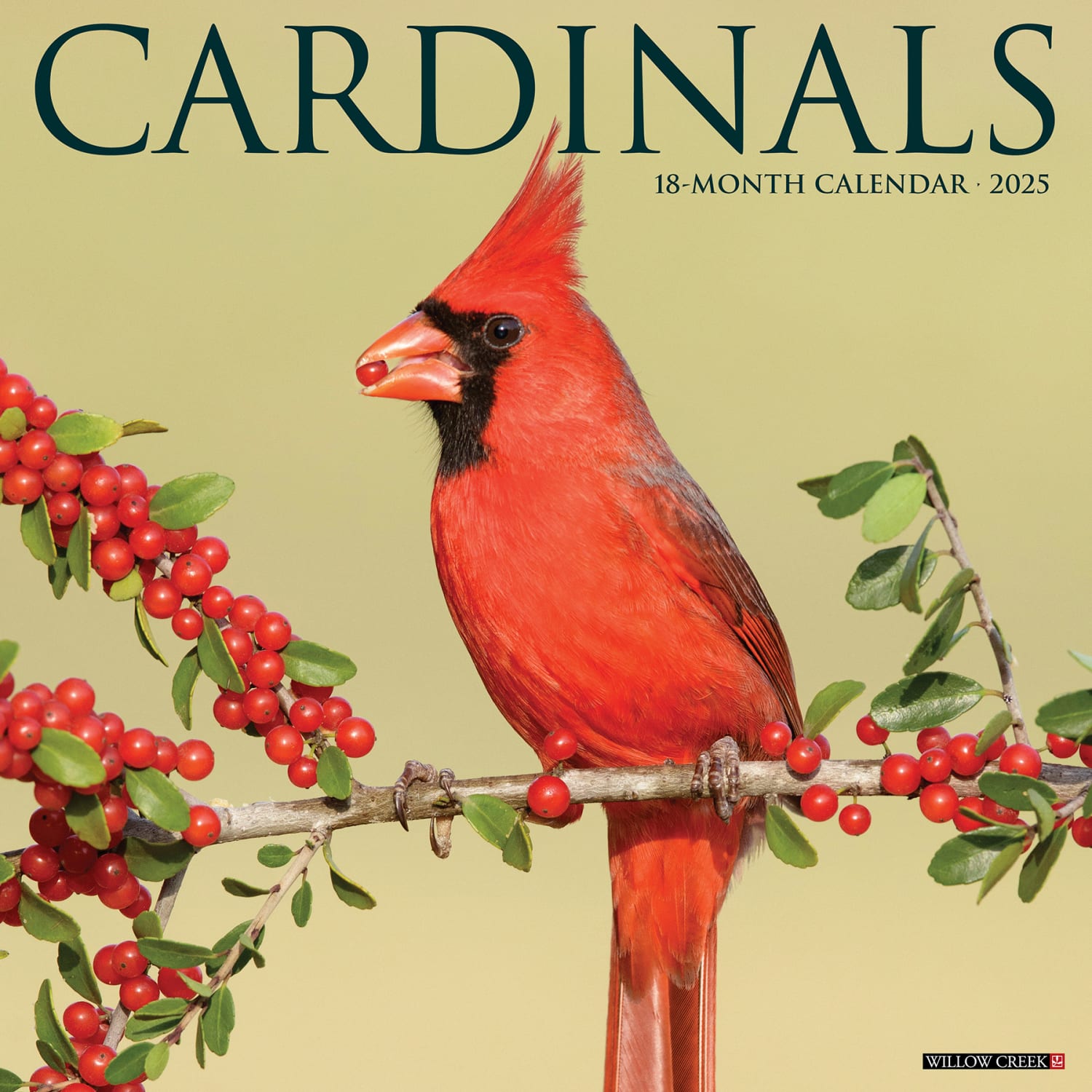 2025 Willow Creek Press Animals Monthly Wall Calendar, 12in x 12in, Cardinals, January To December, 42151