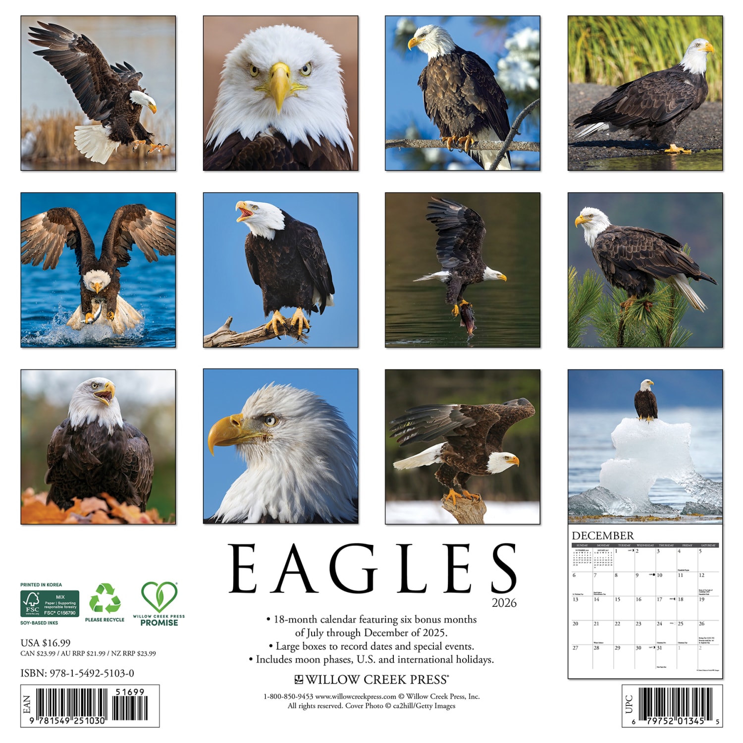 2026 Willow Creek Press Animals Monthly Wall Calendar, 12in x 12in, Eagles, January To December, 51030 - Image 6
