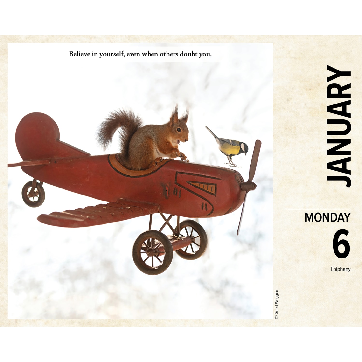2025 Willow Creek Press Daily Desk Box Calendar, Animals, 5-1/2in x 6-1/4in, Gettin Squirrelly, January To December, 40850 - Image 3