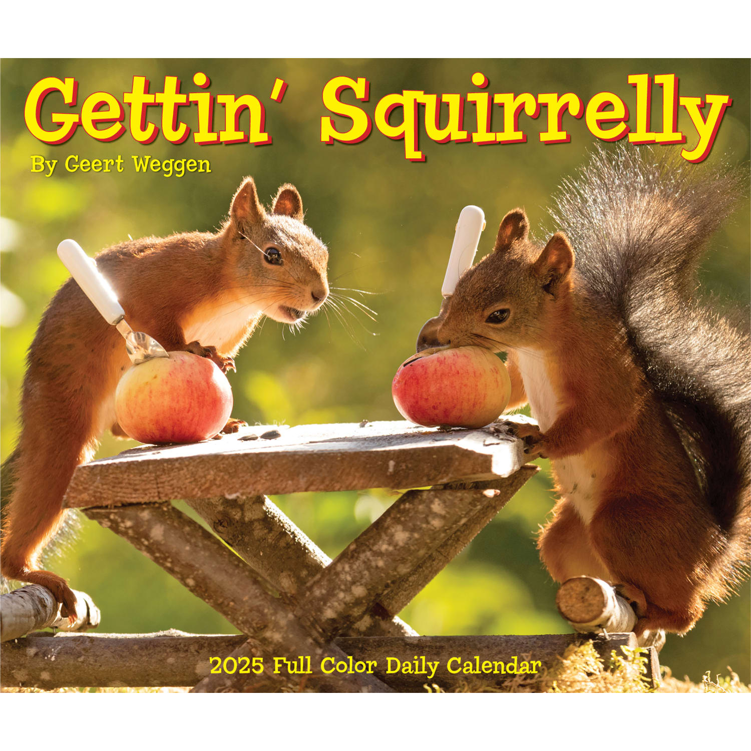 2025 Willow Creek Press Daily Desk Box Calendar, Animals, 5-1/2in x 6-1/4in, Gettin Squirrelly, January To December, 40850 - Image 5