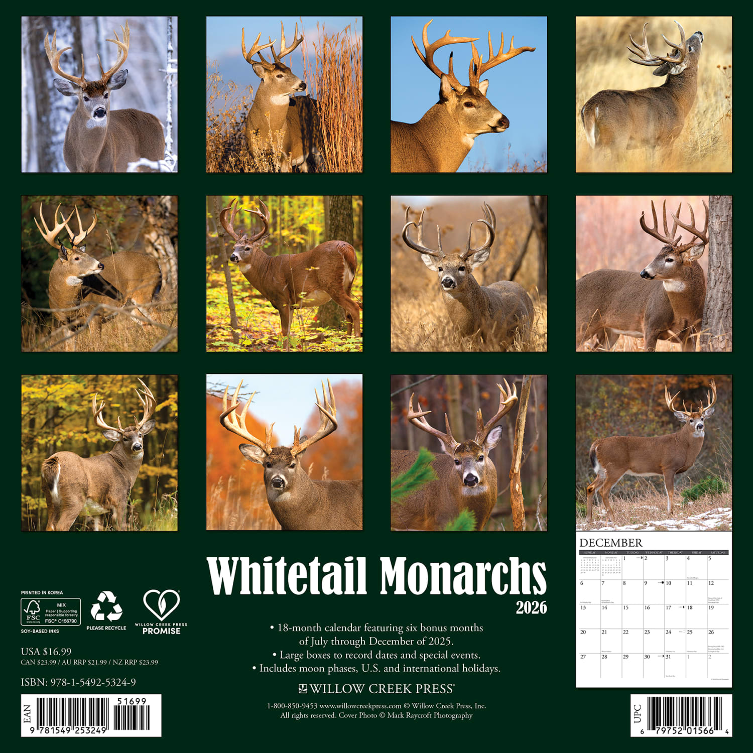 2026 Willow Creek Press Animals Monthly Wall Calendar, 12in x 12in, Whitetail Monarchs (Deer), January To December, 53249 - Image 6