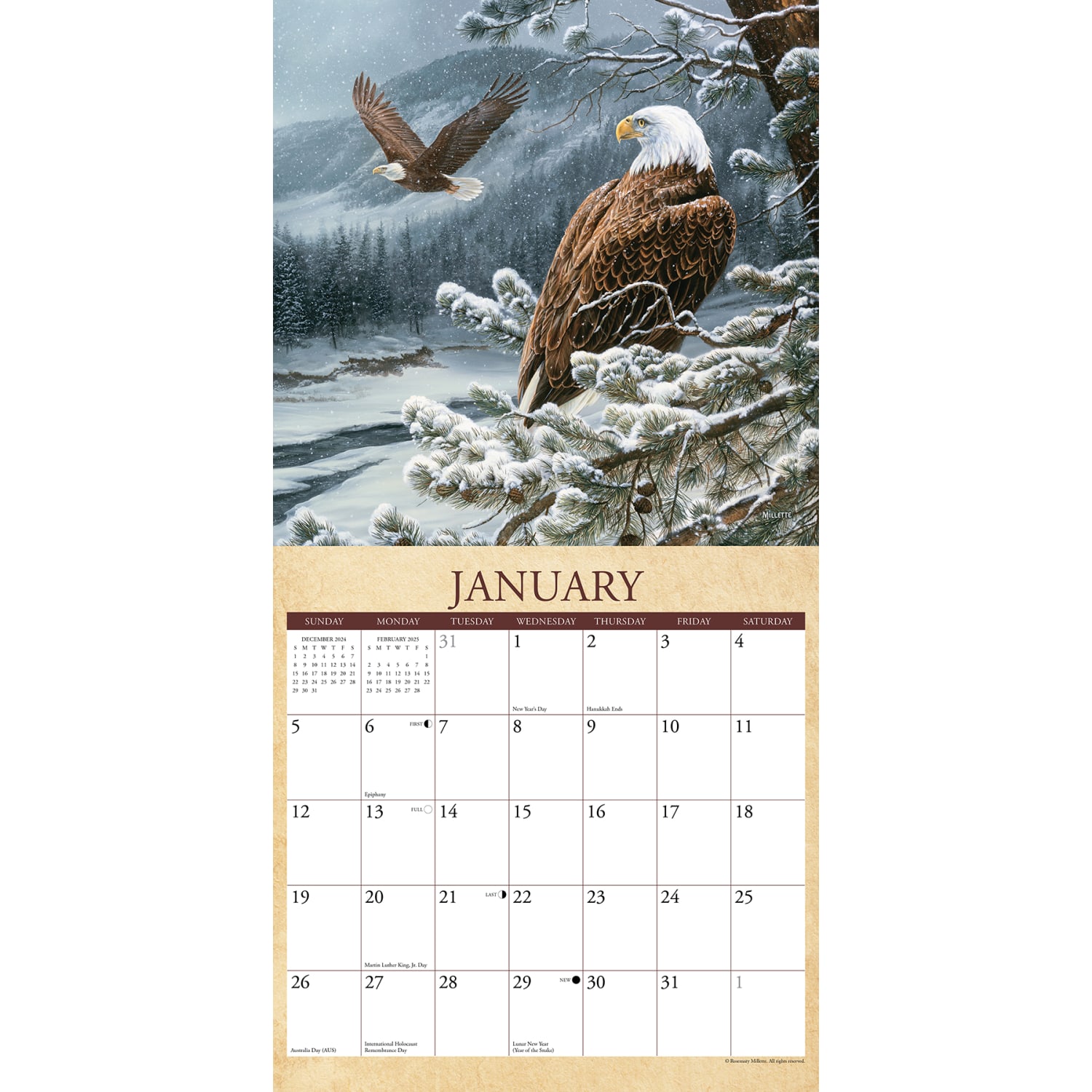 2025 Willow Creek Press Monthly Wall Calendar, 12in x 12in, Wild America, January 2025 to December 2025, 45459 - Image 3