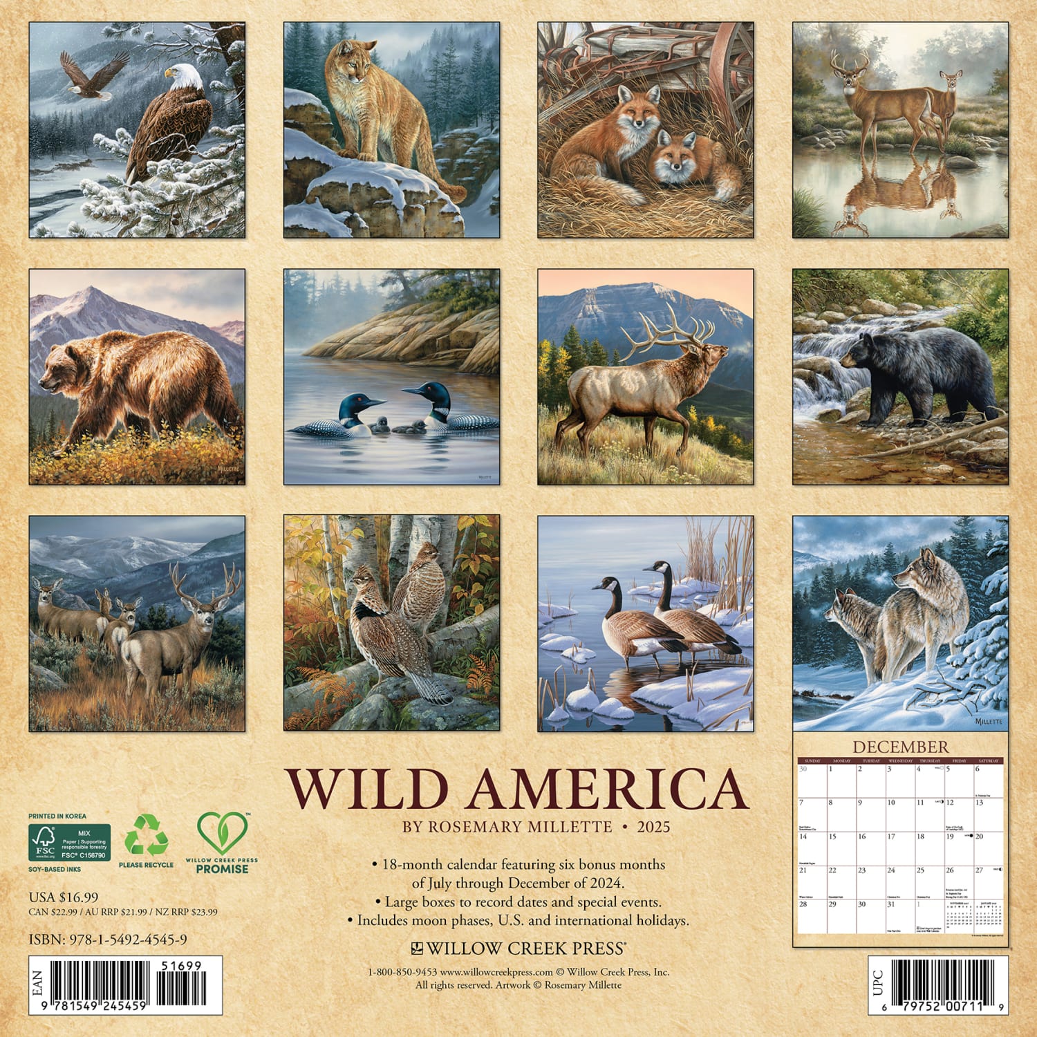 2025 Willow Creek Press Monthly Wall Calendar, 12in x 12in, Wild America, January 2025 to December 2025, 45459 - Image 6