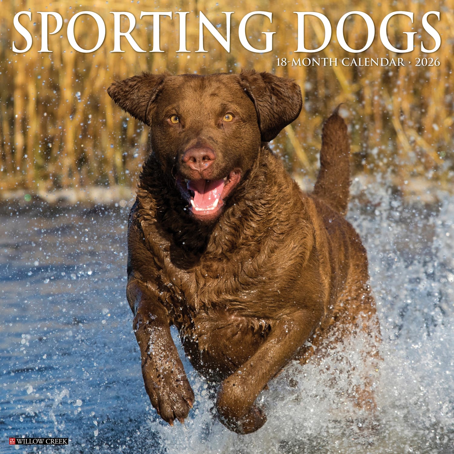 2026 Willow Creek Press Animals Monthly Wall Calendar, 12in x 12in, Sporting Dogs, January To December, 55557 - Image 3