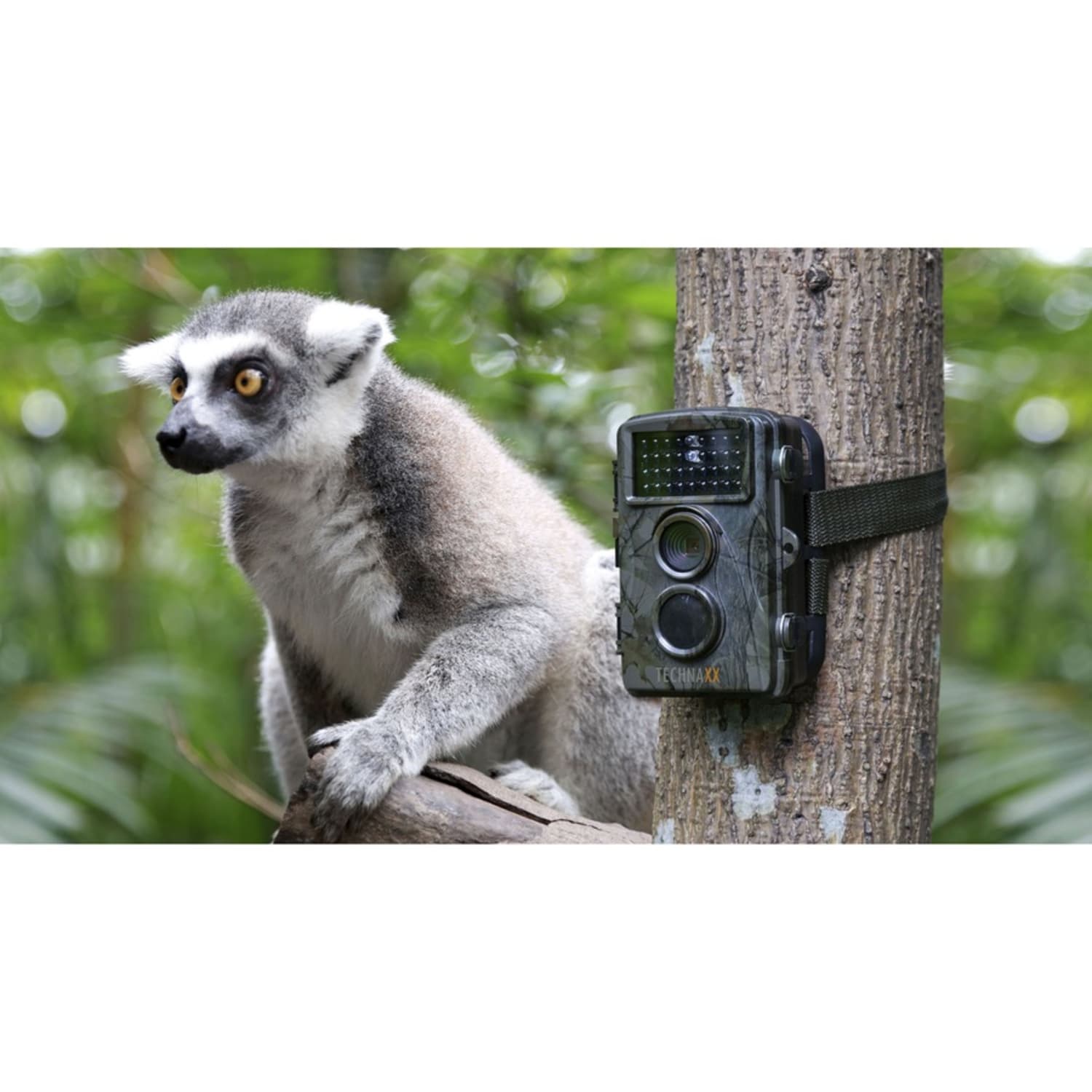 Technaxx Nature Wild Cam TX-69 - 600 ms - 12 Megapixel - microSD - Water Proof - Image 3