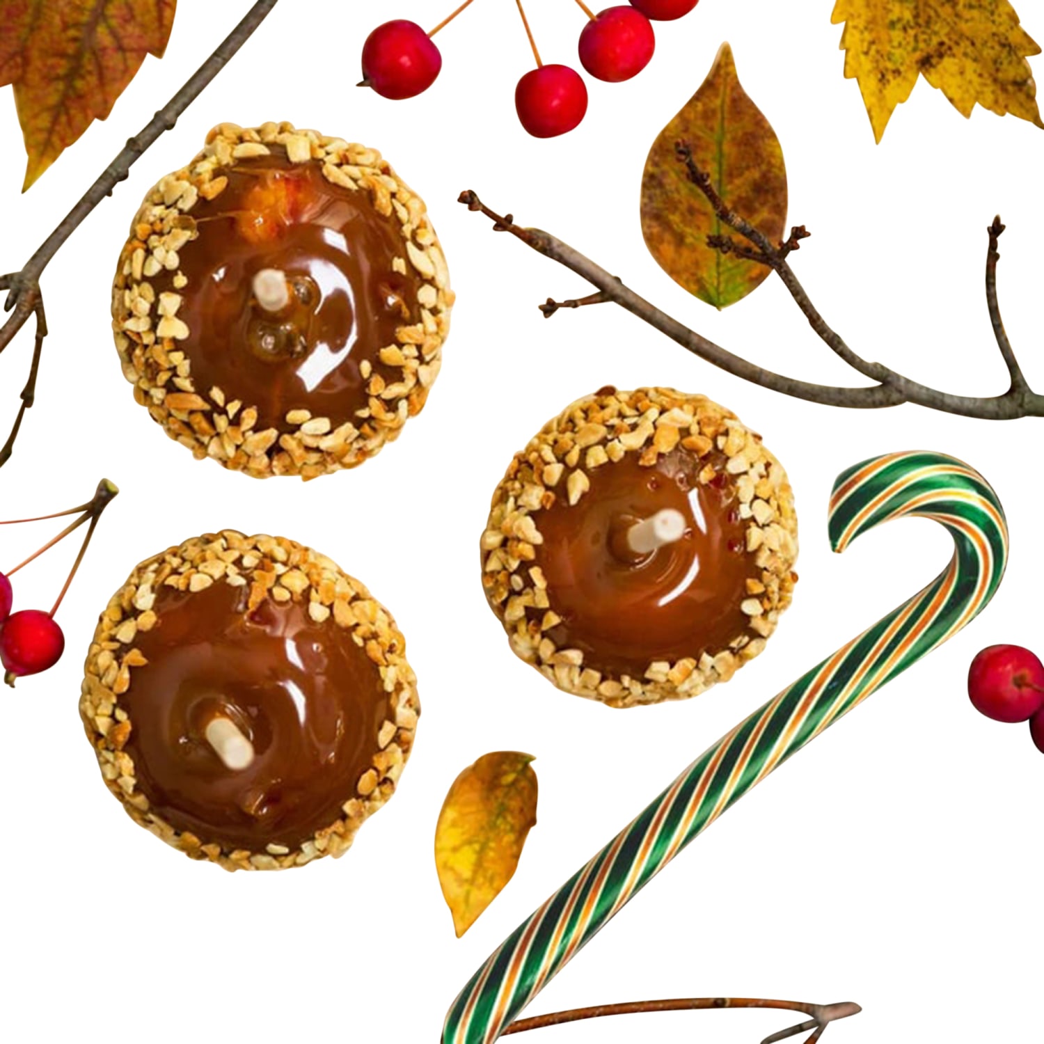 Hammonds Candies Caramel Apple Candy Canes, 1.75 Oz, Pack Of 48 Candy Canes - Image 3