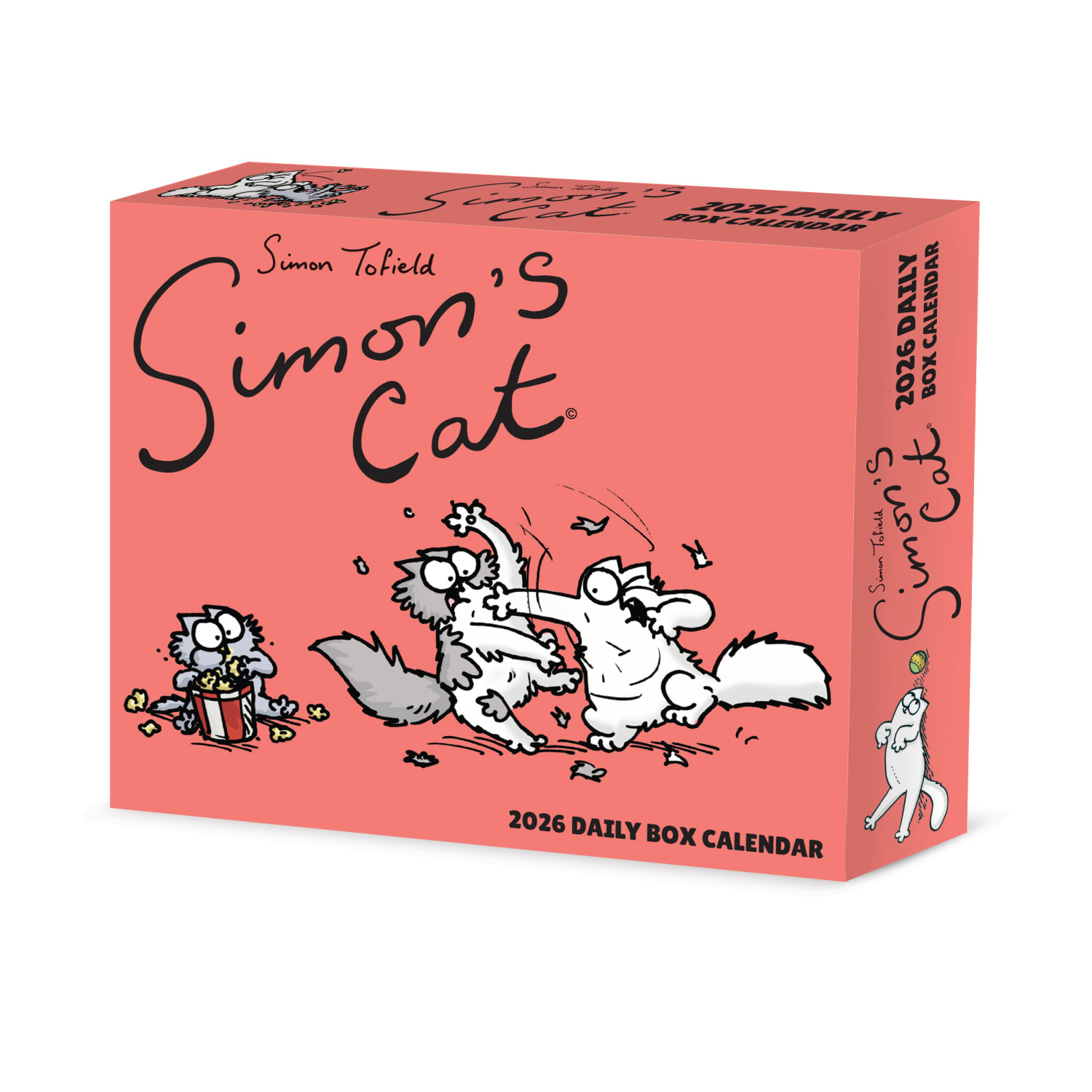 2026 Willow Creek Press Page-A-Day Daily Desk Calendar, 6-1/4in x 5-1/2in, Simons Cat, January To December, 54413 - Image 3