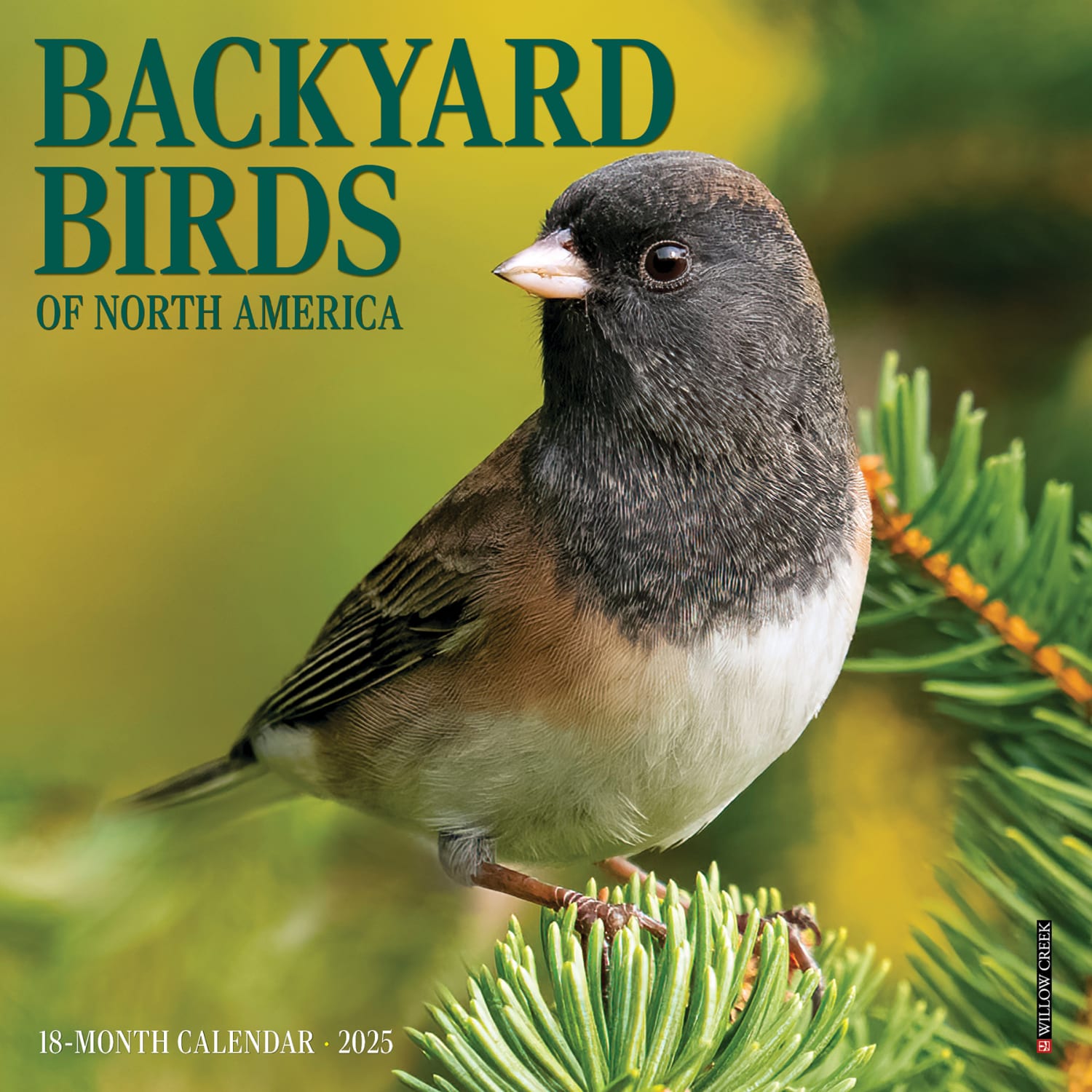 2025 Willow Creek Press Mini Wall Calendar, 7in x 7in, Backyard Birds, January 2025 To December 2025, 45800