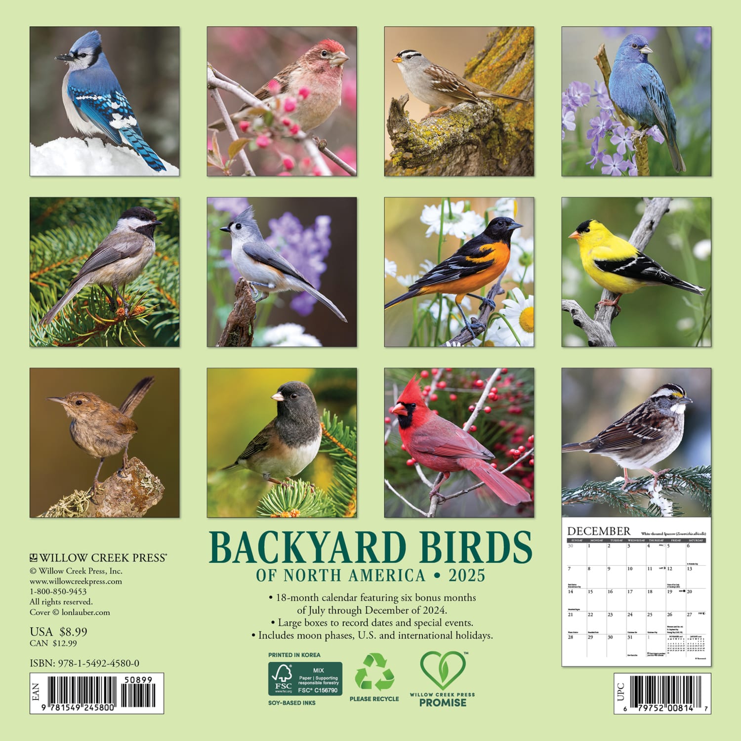 2025 Willow Creek Press Mini Wall Calendar, 7in x 7in, Backyard Birds, January 2025 To December 2025, 45800 - Image 6