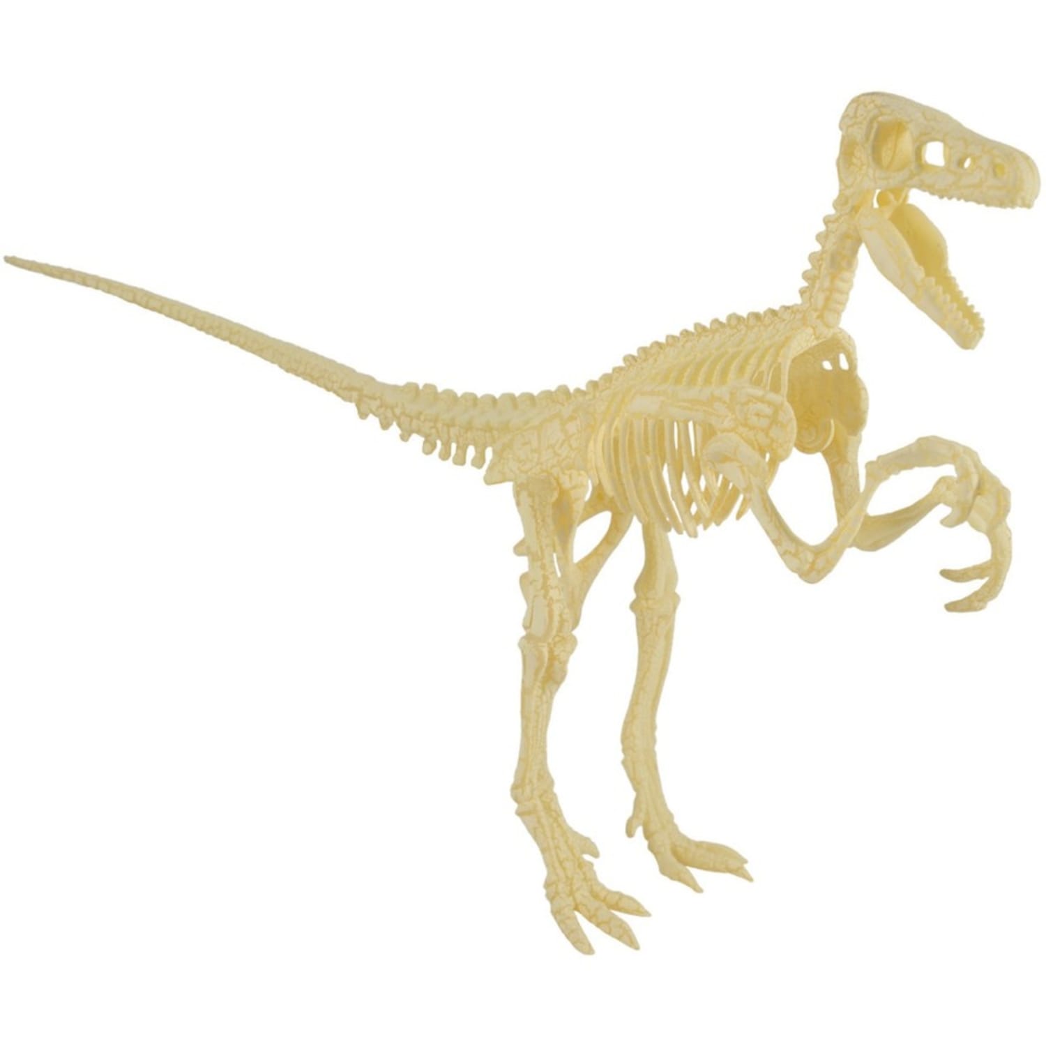 Hamiltonbuhl Paleo Hunter Dig Kit For STEAM Eucation, Velociraptor Rex - Image 4