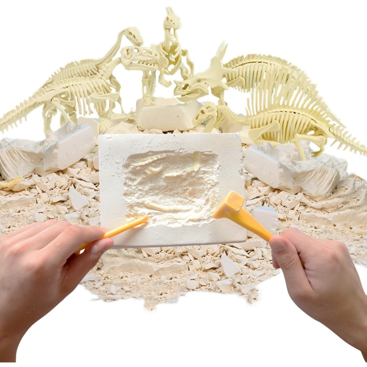 Hamiltonbuhl Paleo Hunter Dig Kit For STEAM Eucation, Velociraptor Rex - Image 5