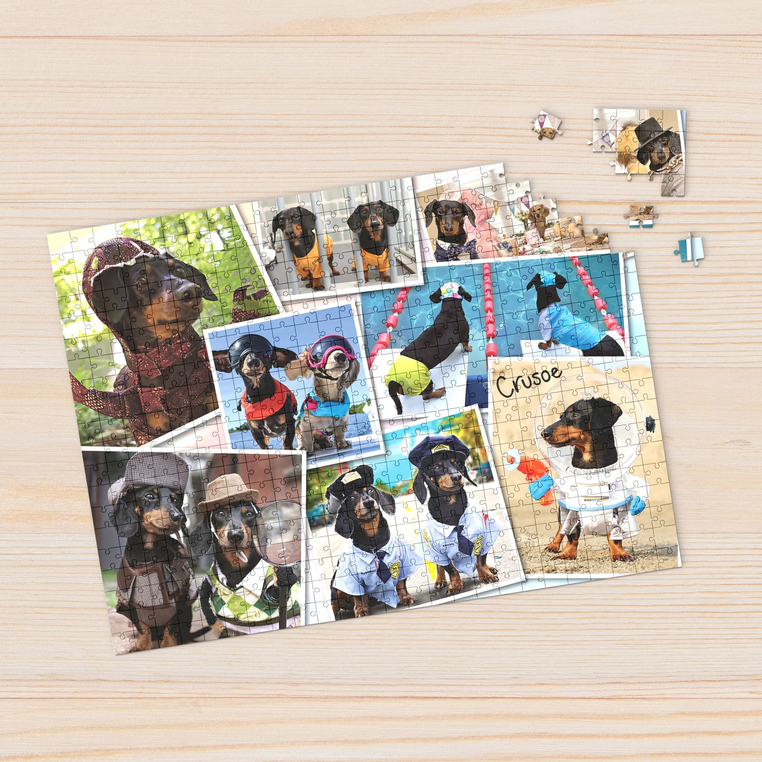 Willow Creek Press 1,000-Piece Puzzle, 26-5/8in x 19-1/4in, Crusoe The Celebrity Dachshund - Image 5