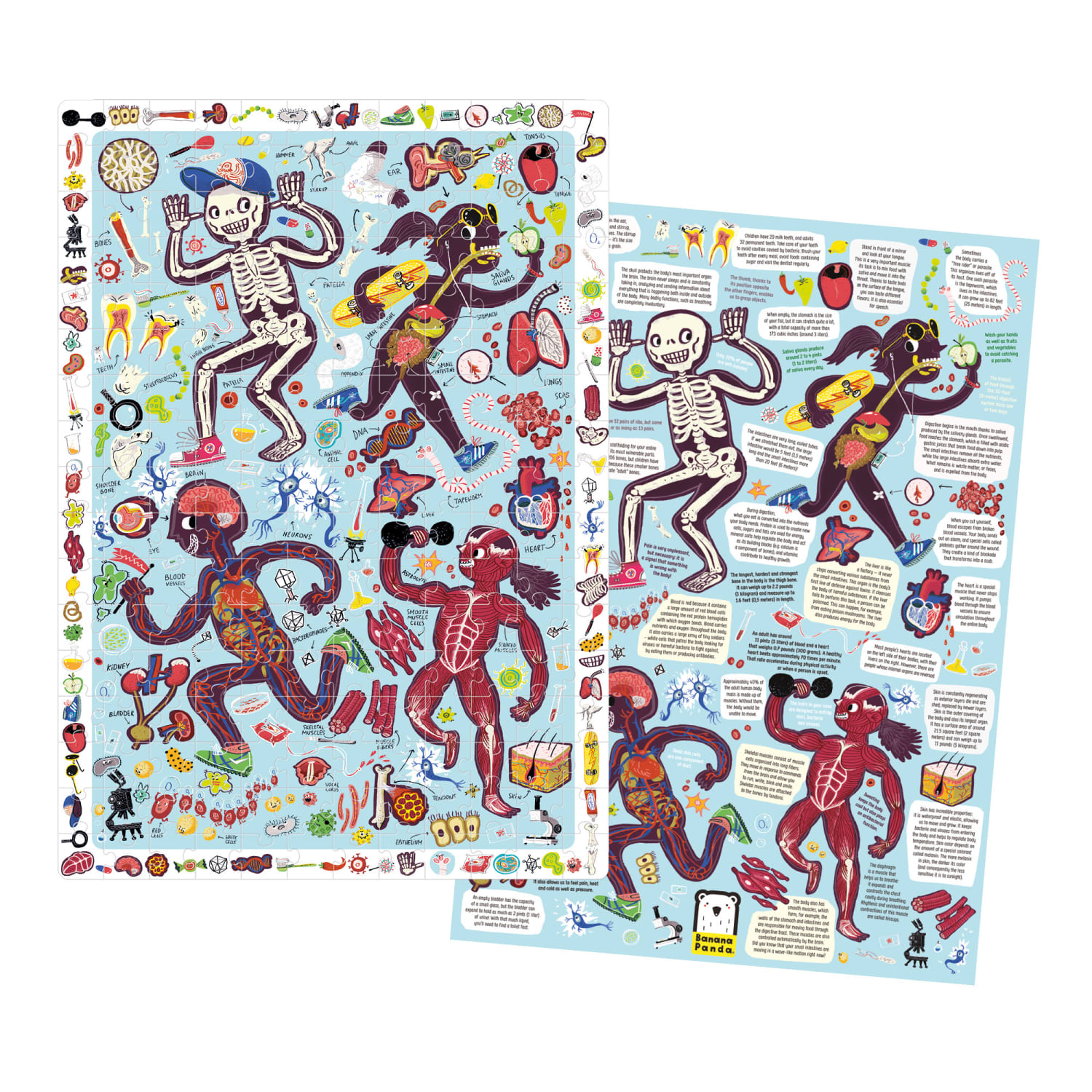 Banana Panda Observation Puzzle, My Body, Ages 7+ - Image 4