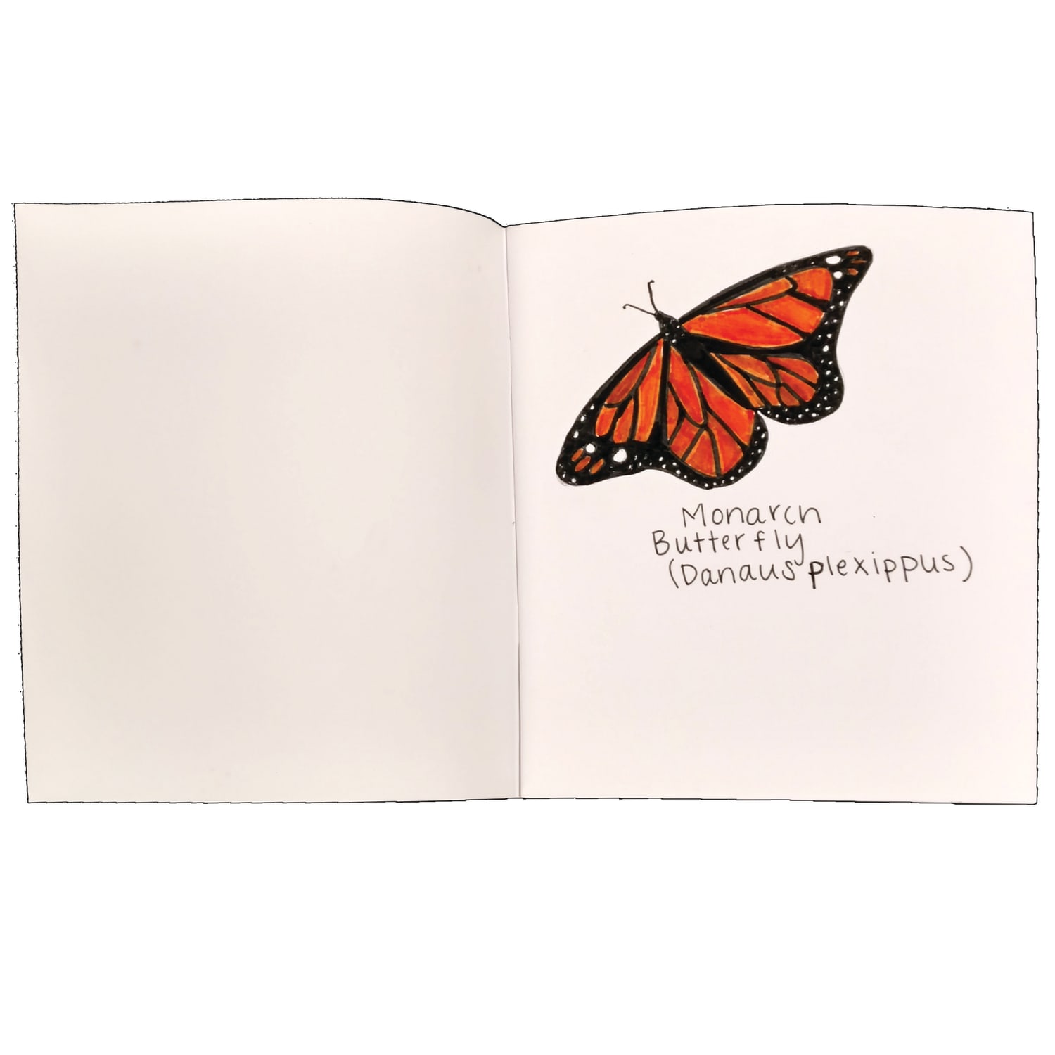 Hayes Blank Softcover Books, 7in x 8-1/2in, Unruled, 28 Pages (14 Sheets), White, Pack Of 24 Books - Image 4