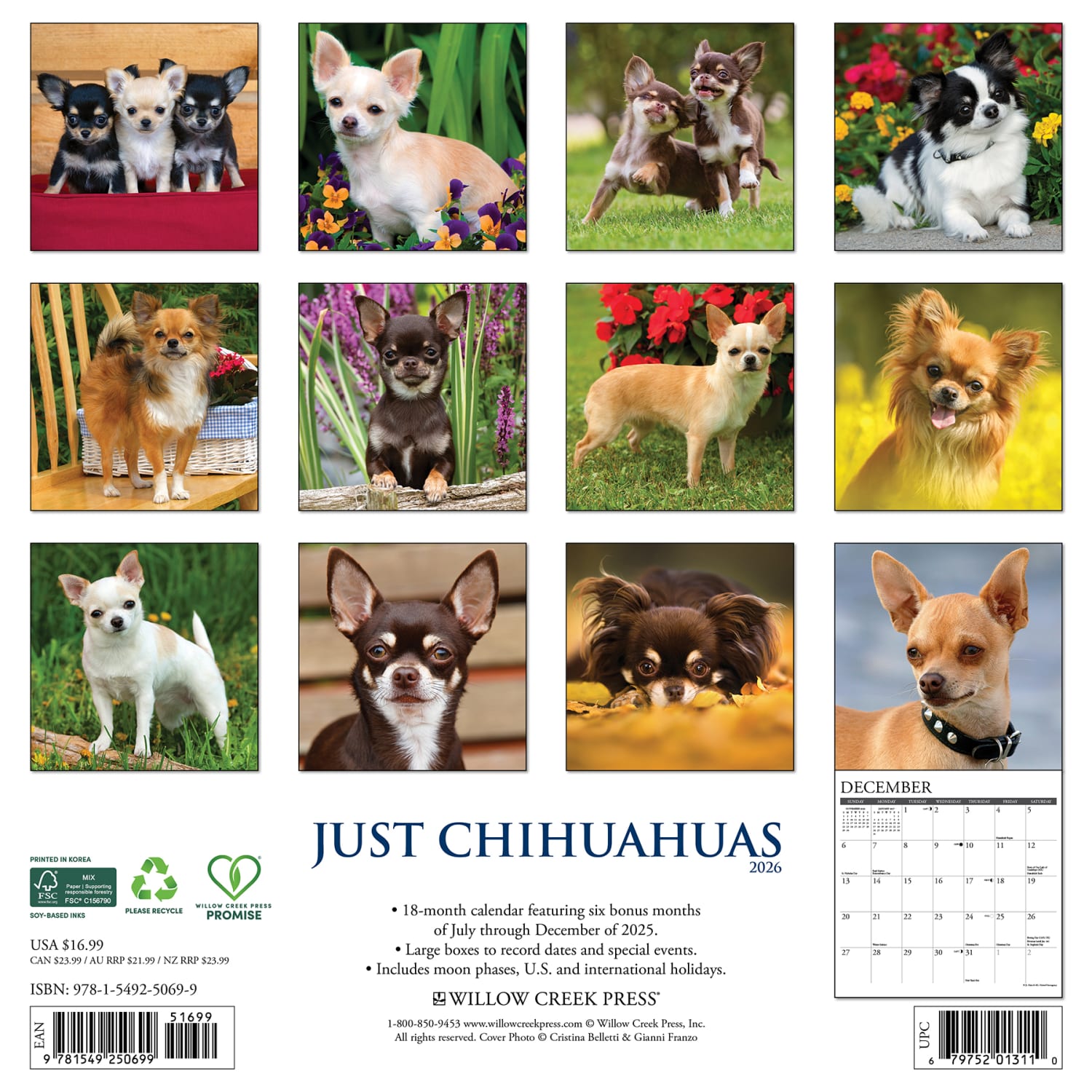 2026 Willow Creek Press Animals Monthly Wall Calendar, 12in x 12in, Chihuahuas, January To December, 50699 - Image 6