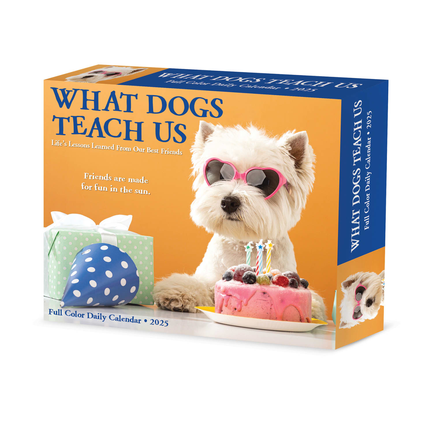 2025 Willow Creek Press Daily Desk Box Calendar, Animals, 5-1/2in x 6-1/4in, What Dogs Teach Us, January To December, 41116